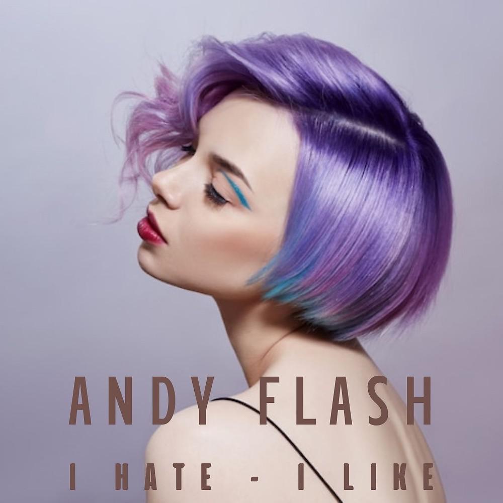 Постер альбома Andy Flash - I Hate I Like