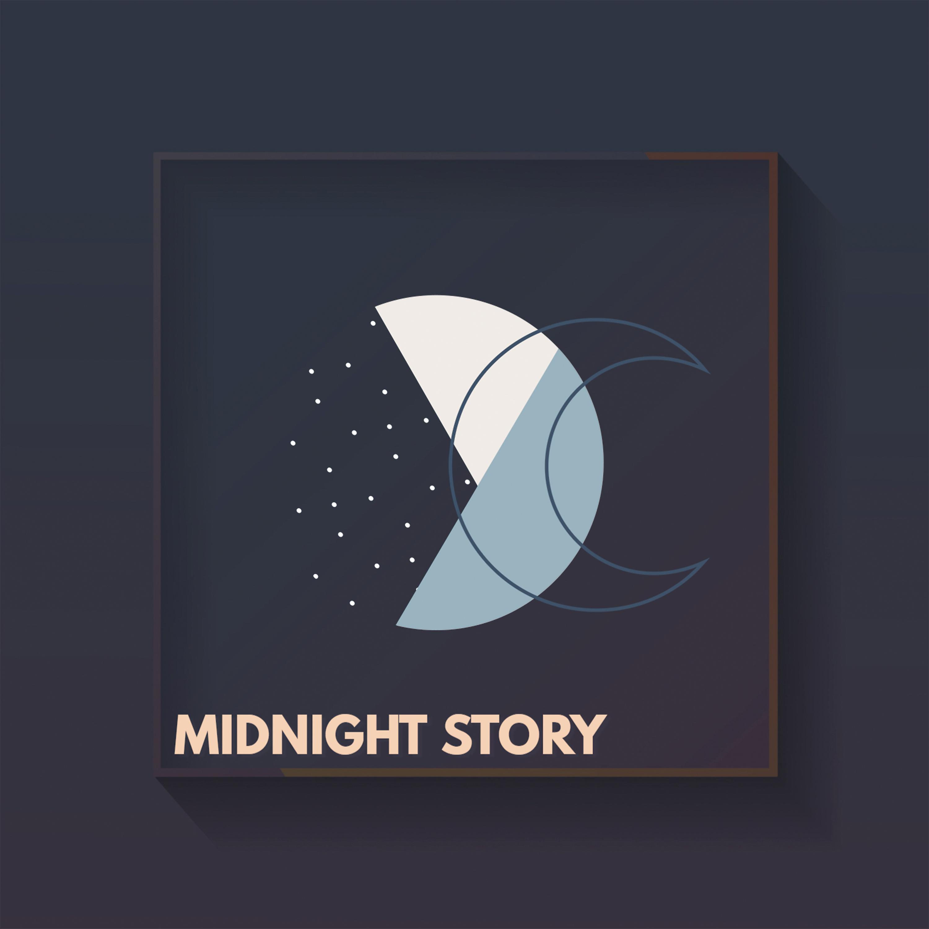 Постер альбома Midnight Story