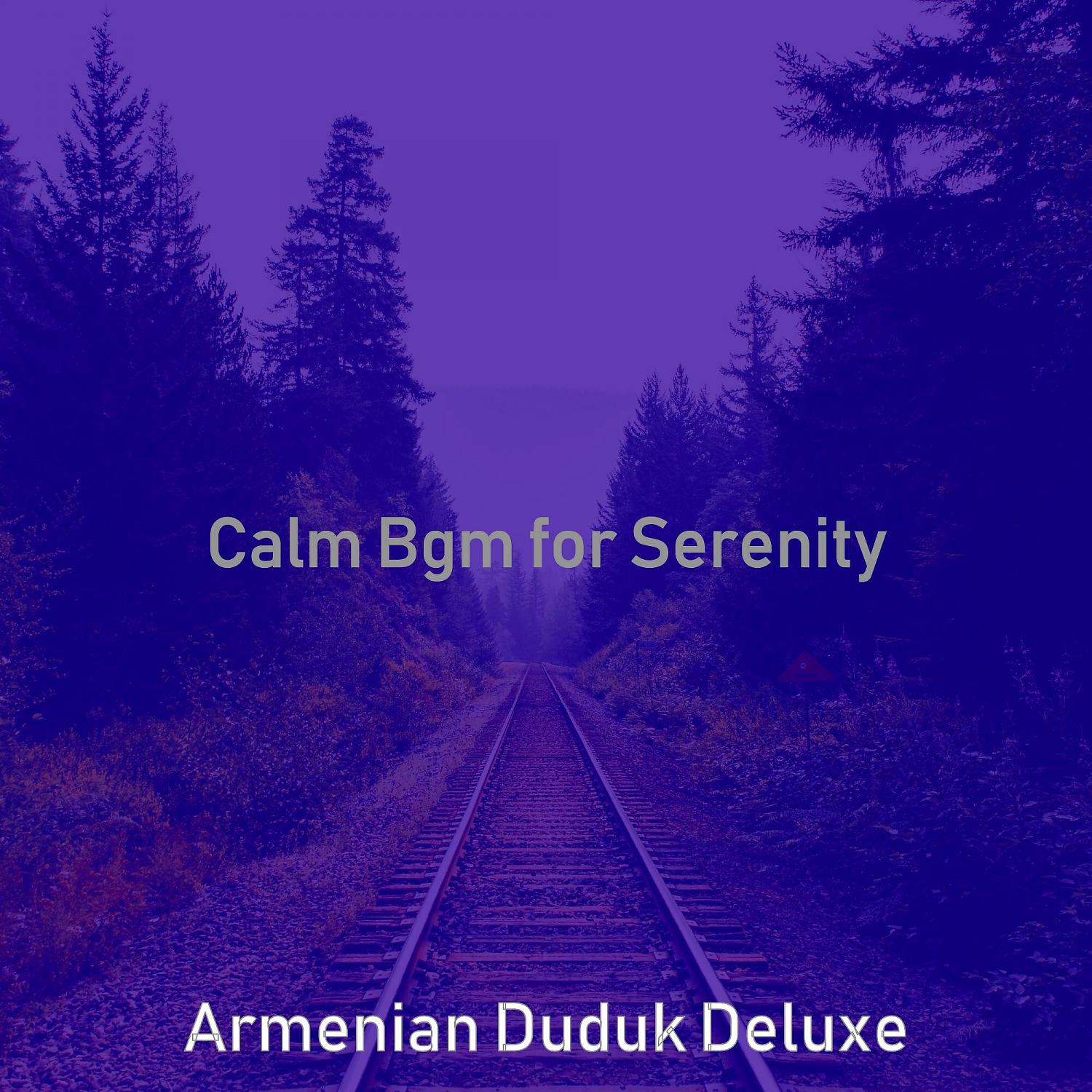 Постер альбома Calm Bgm for Serenity