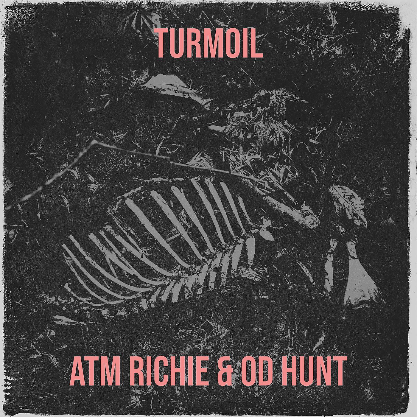 Постер альбома Turmoil