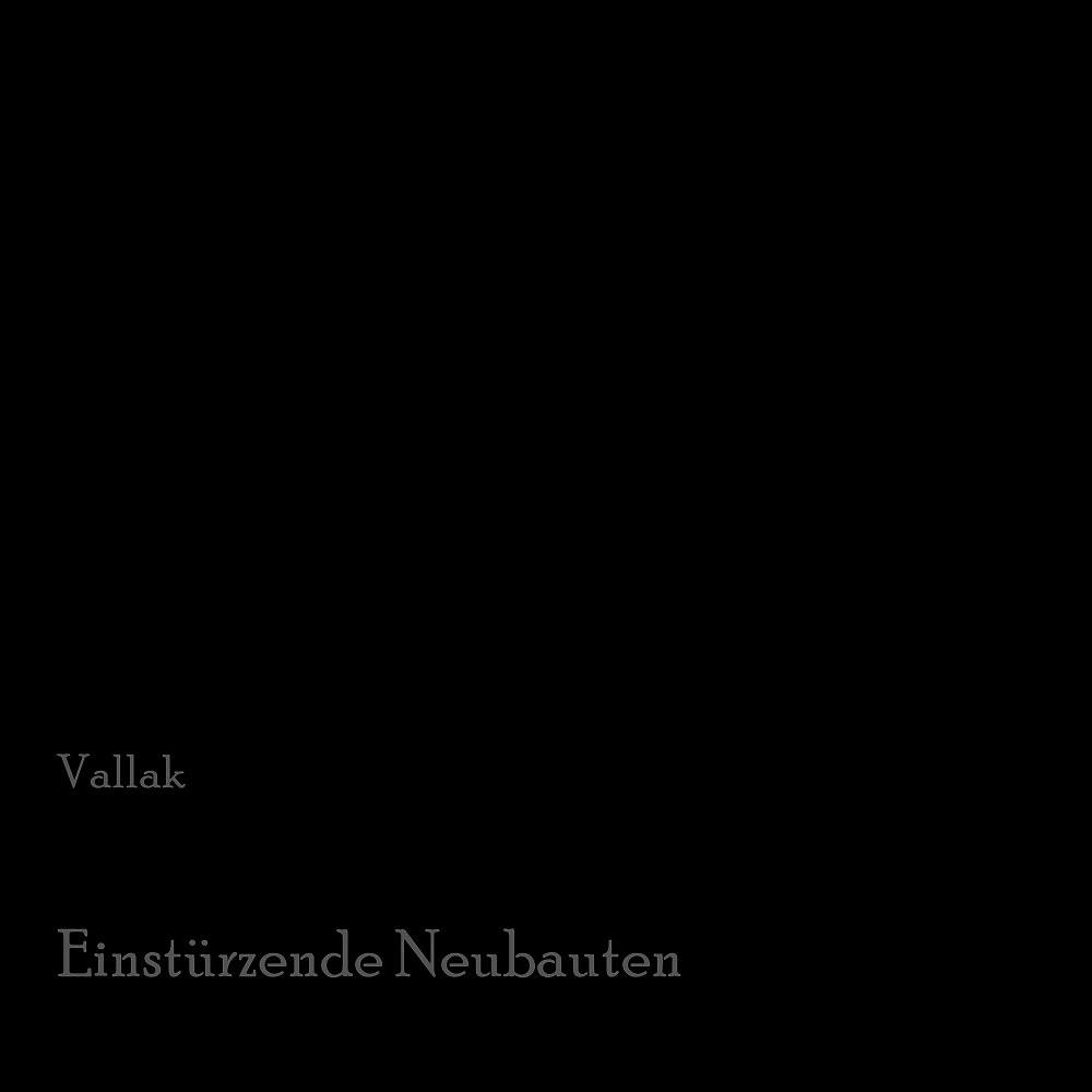 Постер альбома Einstürzende Neubauten
