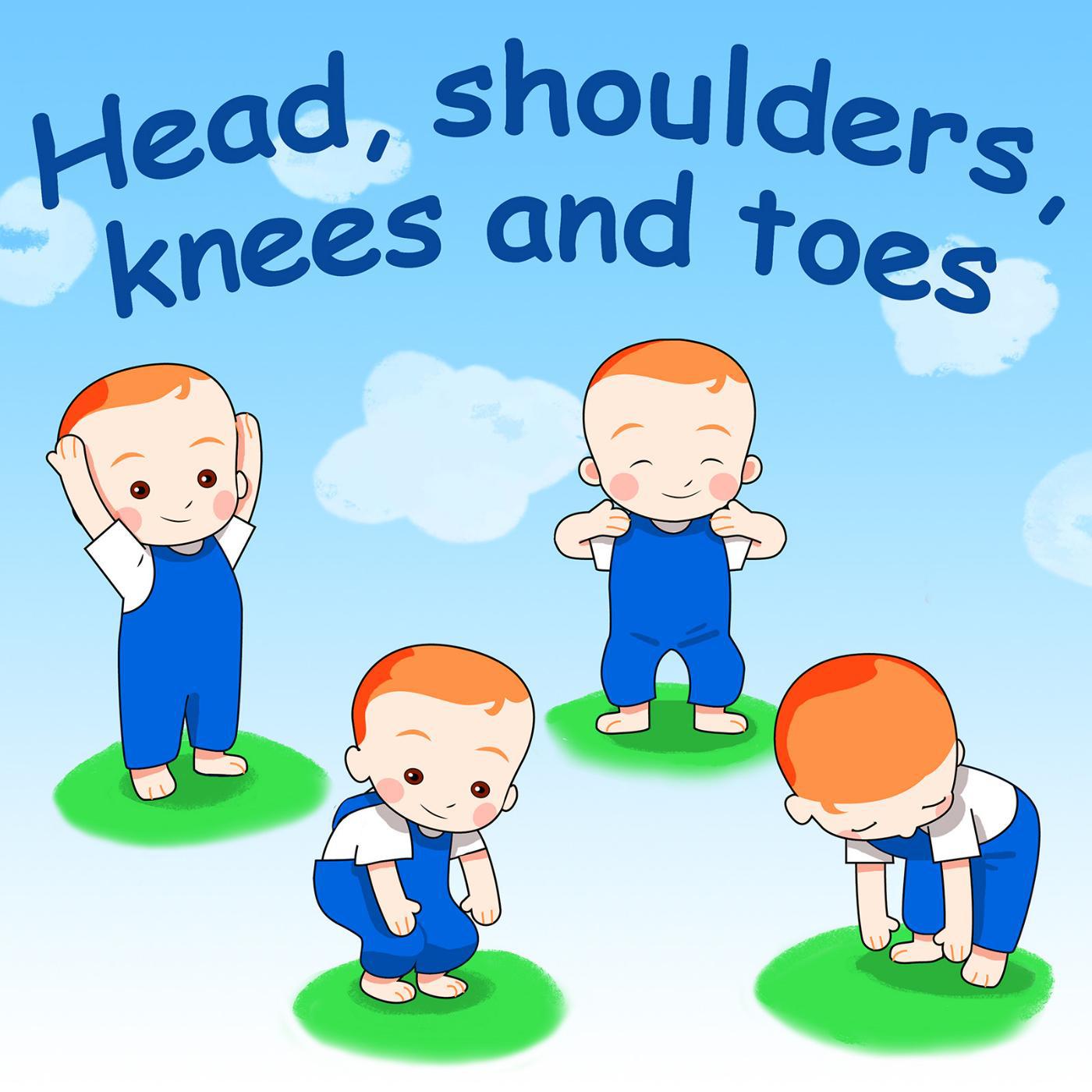 Постер альбома Head, Shoulders, Knees and Toes