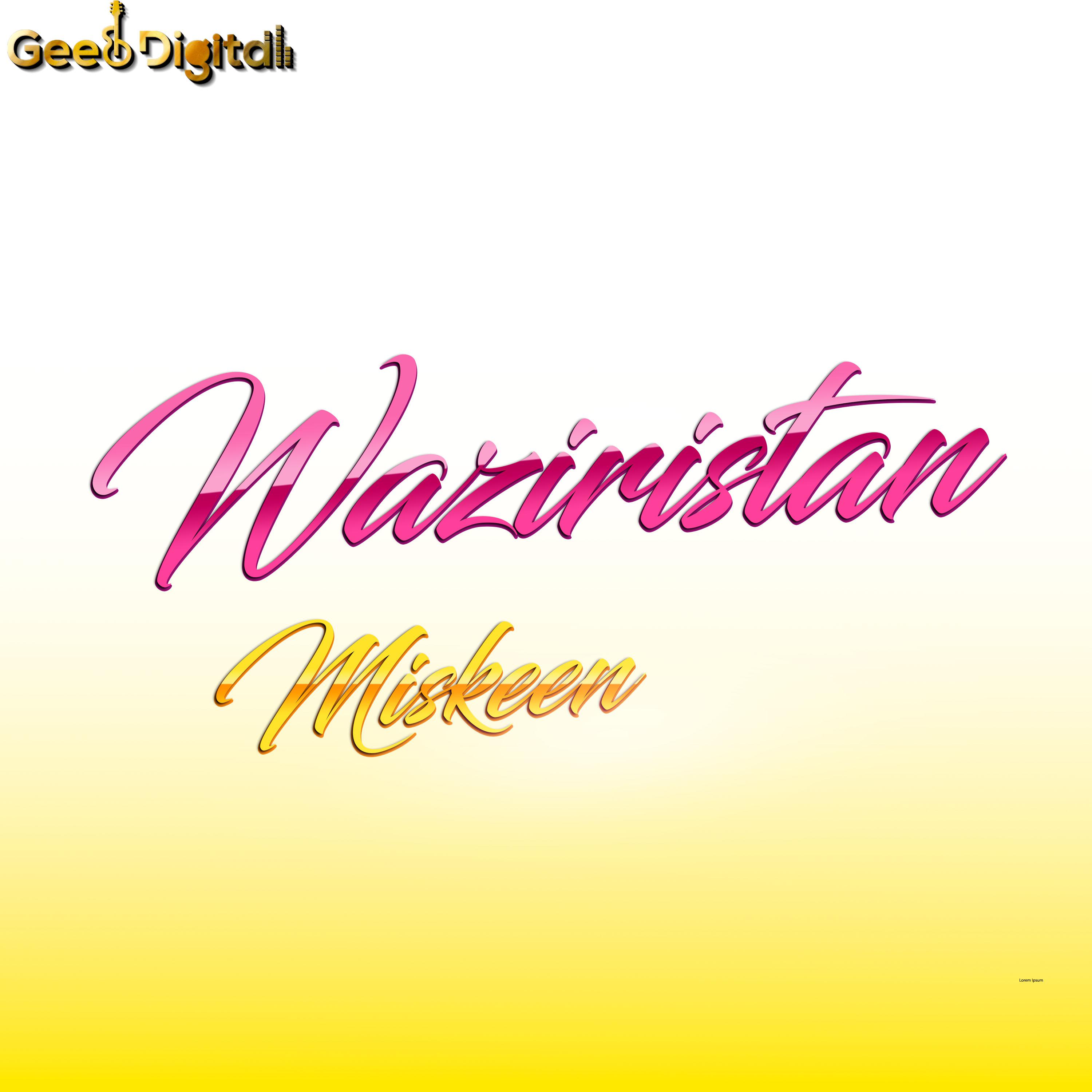 Постер альбома Waziristan