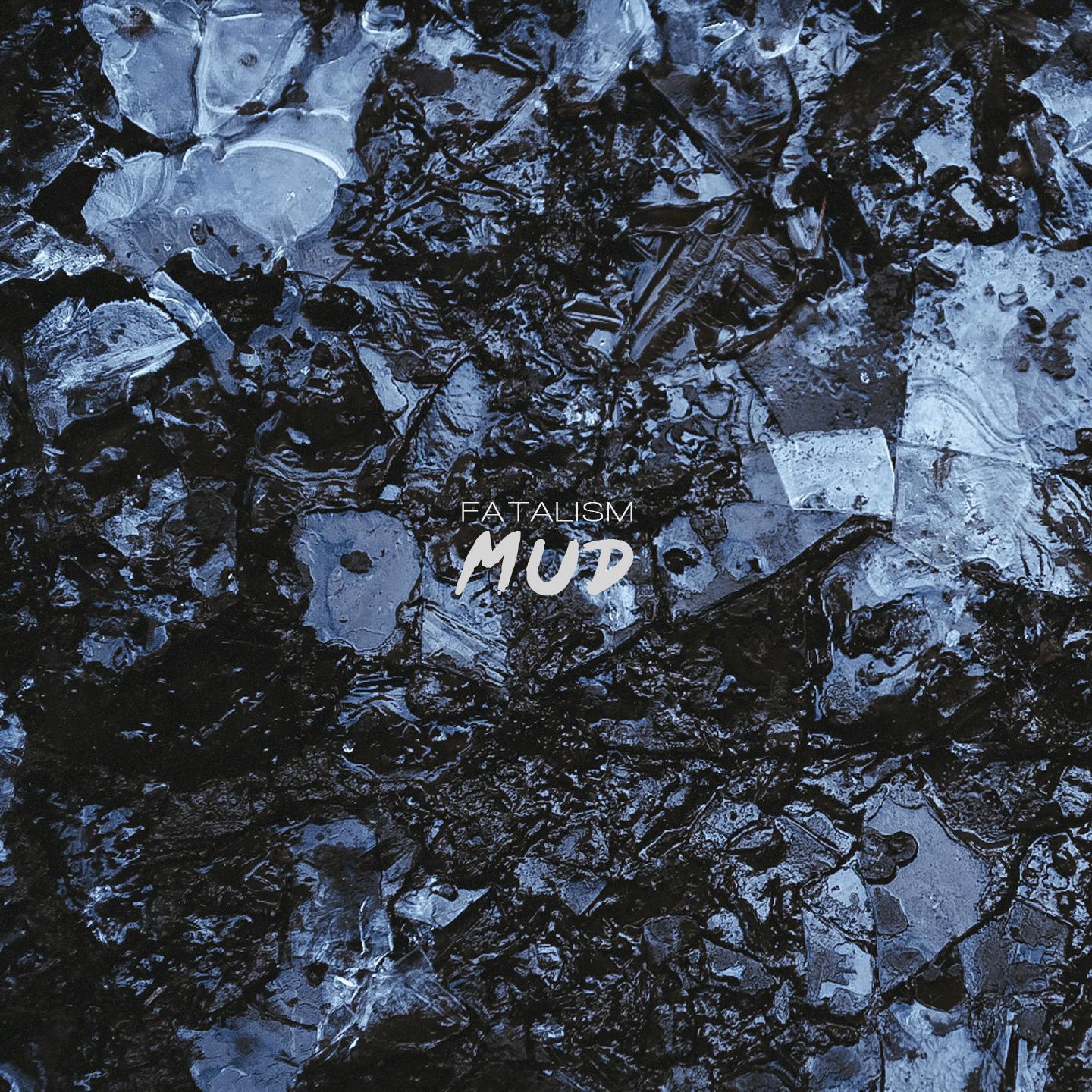 Постер альбома MUD