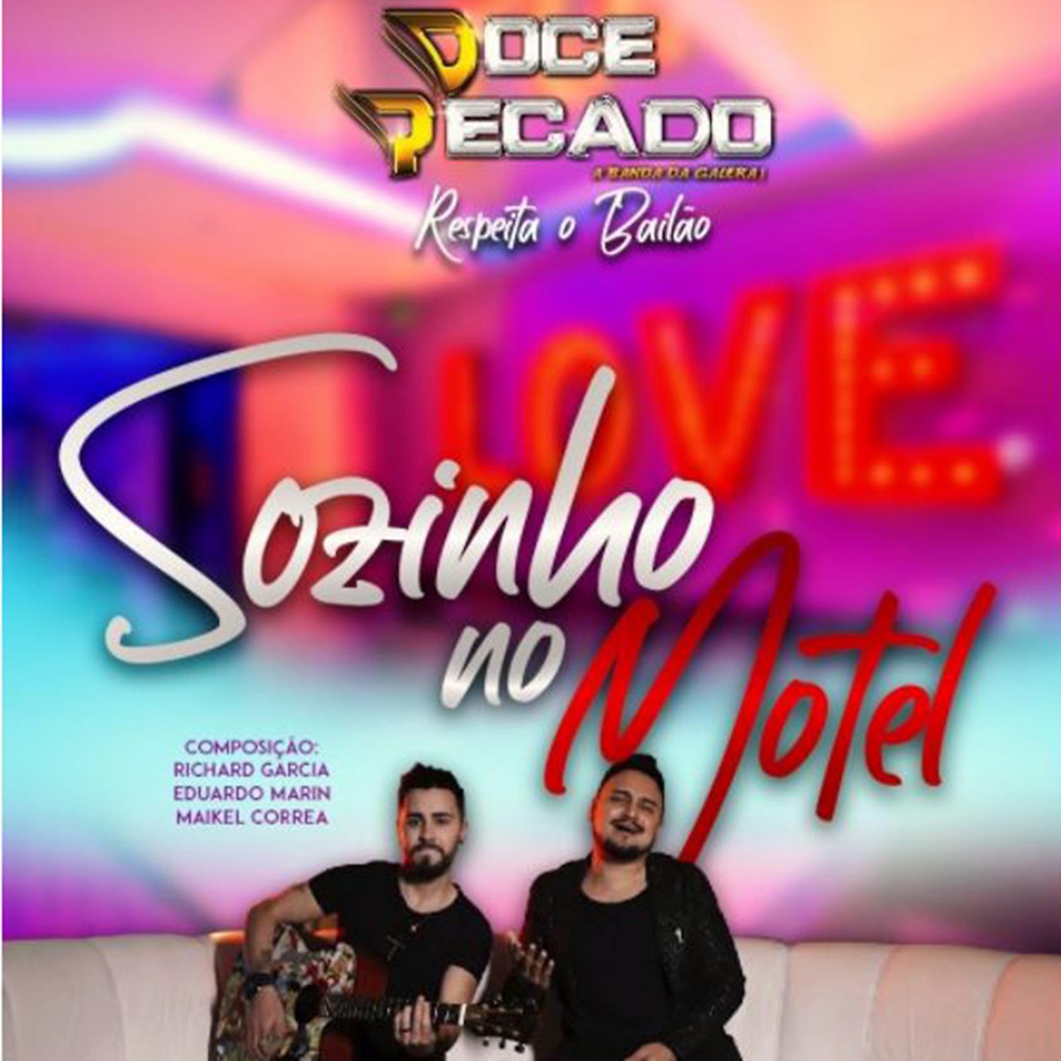 Постер альбома Sozinho no Motel