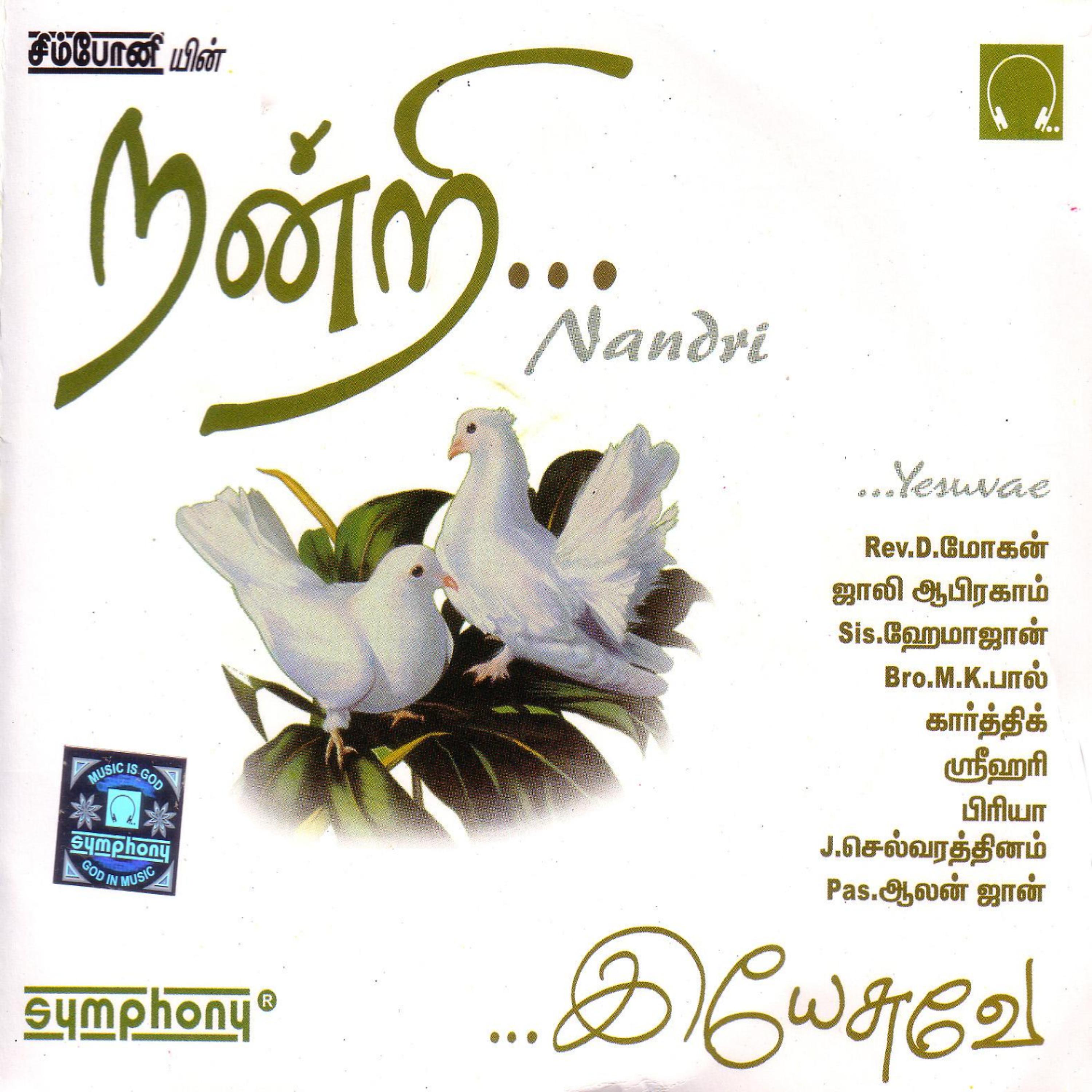 Постер альбома Nandri