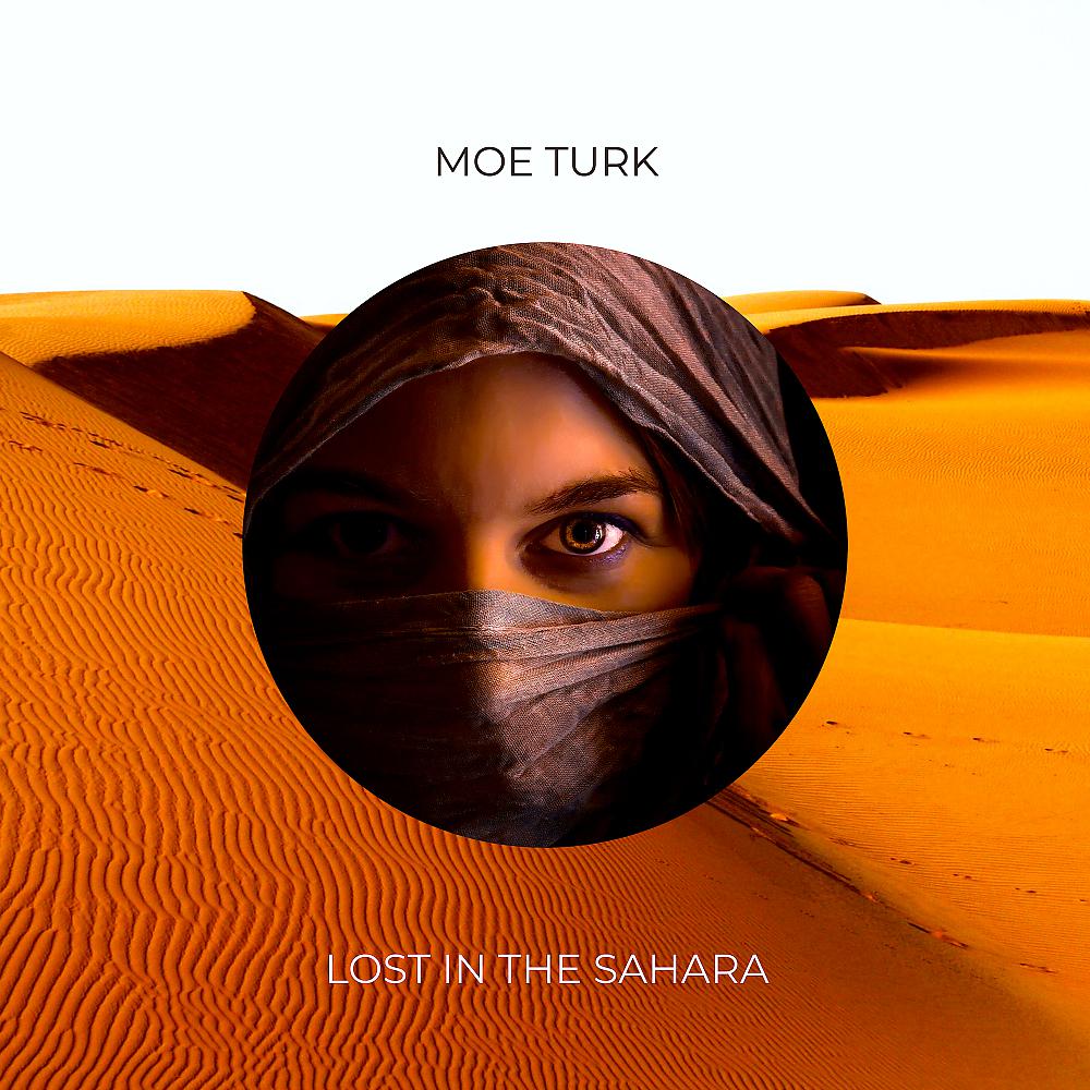 Постер альбома Lost In The Sahara