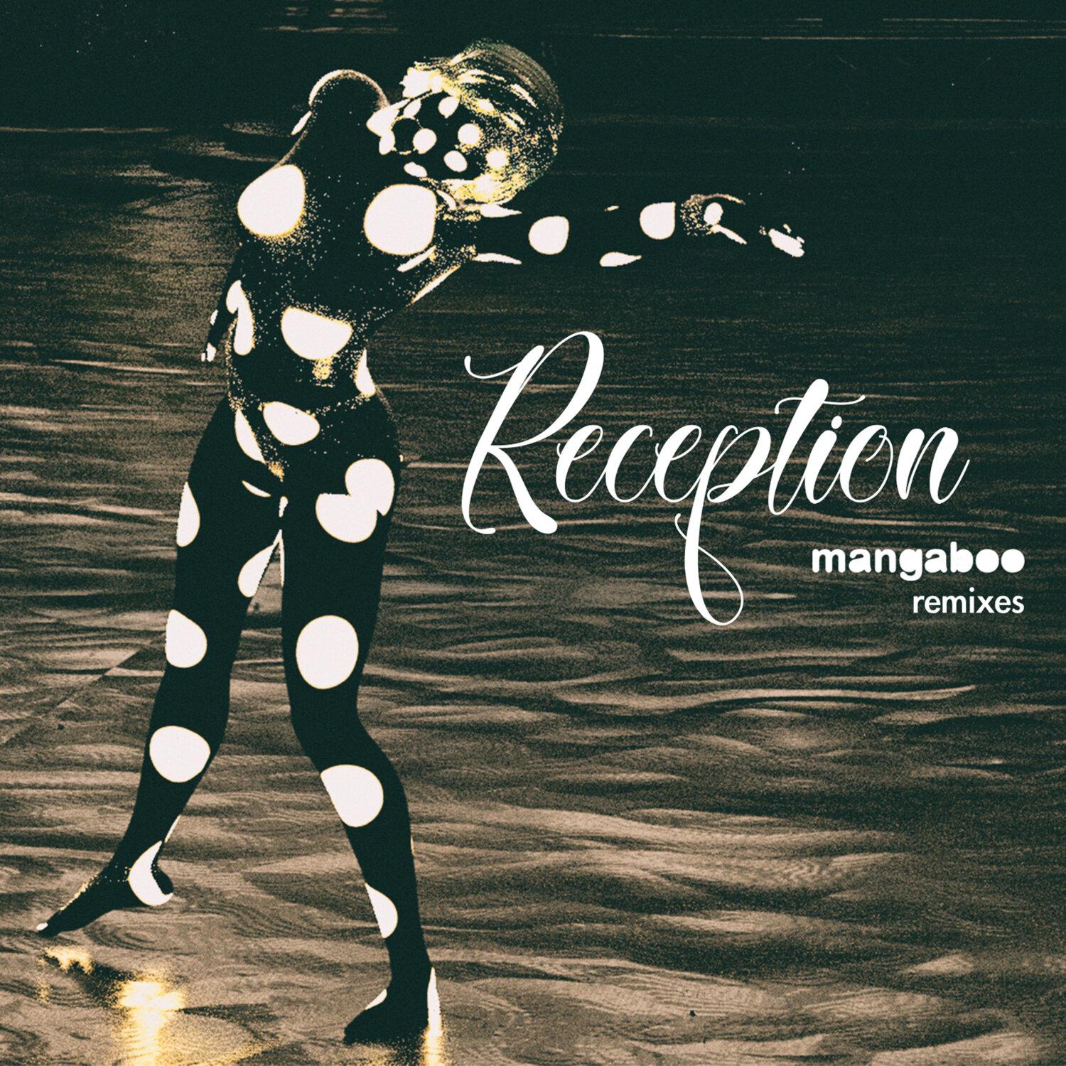 Постер альбома Reception remixes