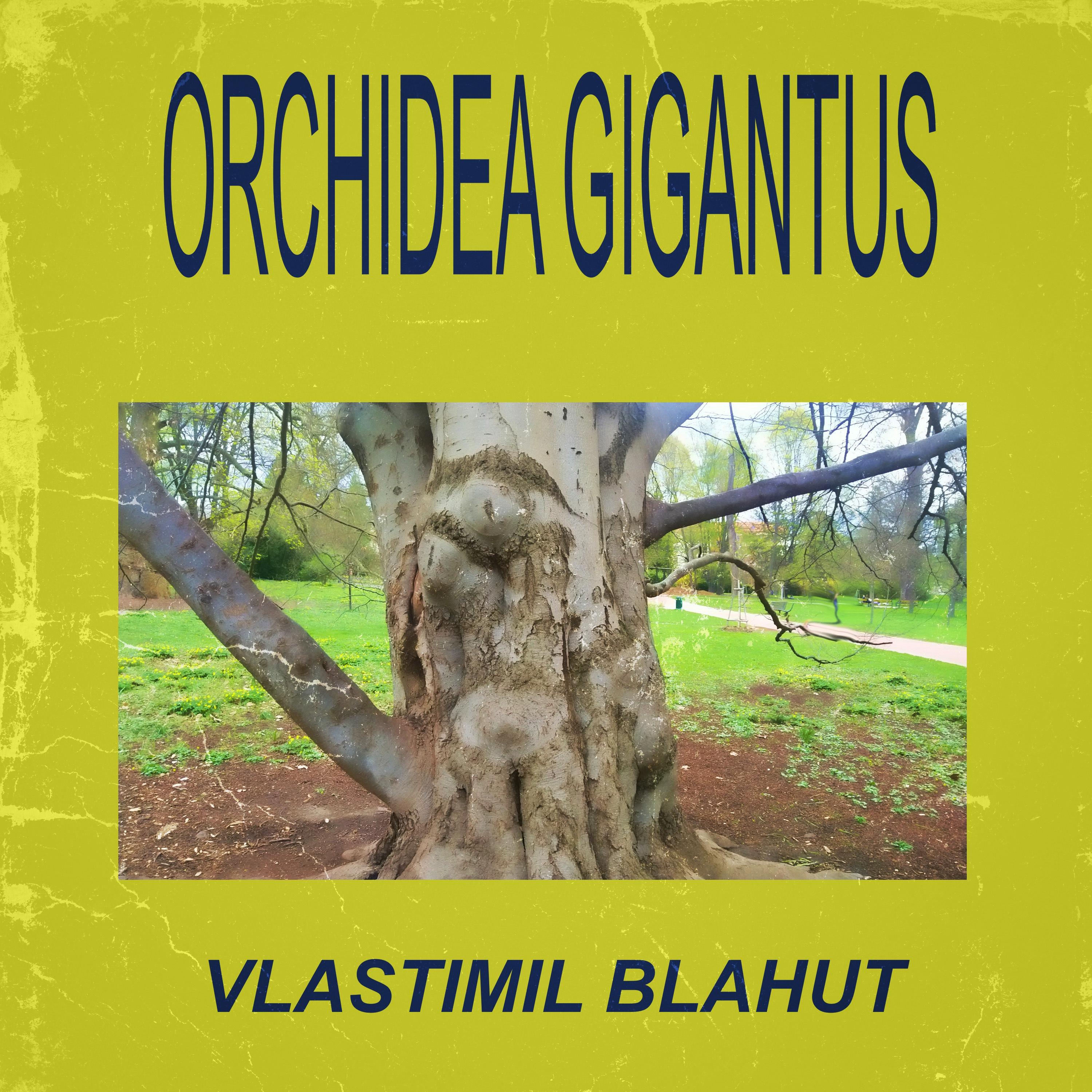 Постер альбома Orchidea gigantus