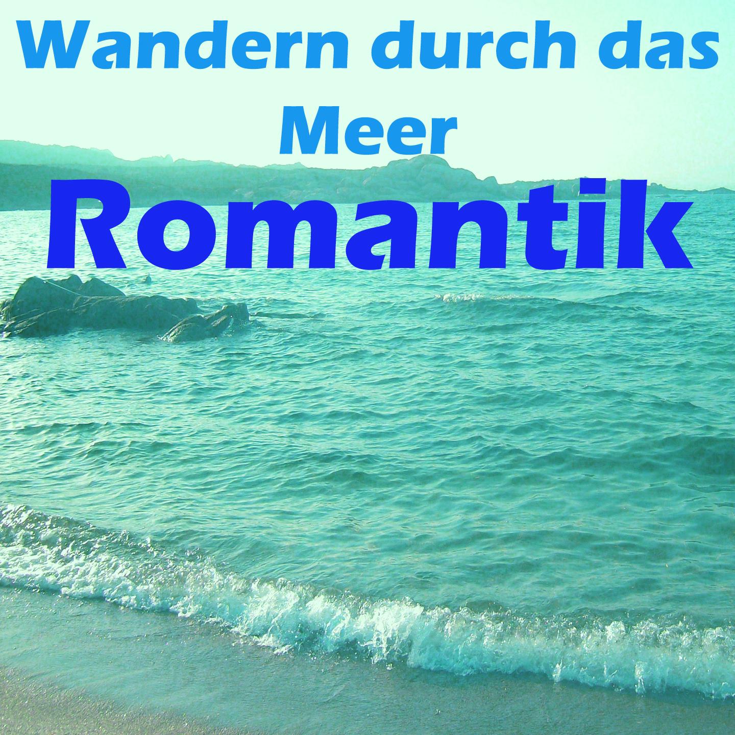 Постер альбома Wandern durch das meer