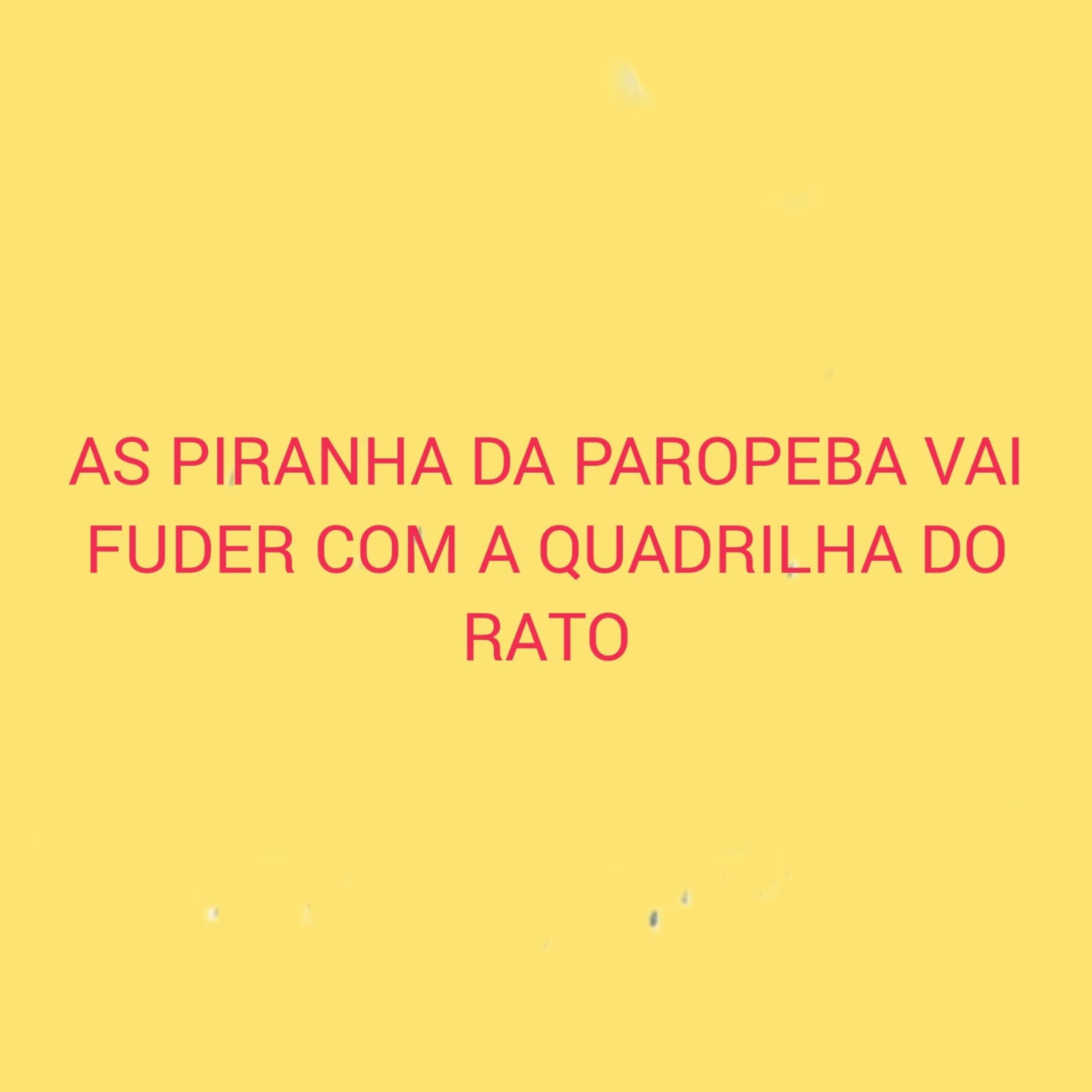 Постер альбома As Piranha da Paropeba Vai Fuder Com a Quadrilha do Rato