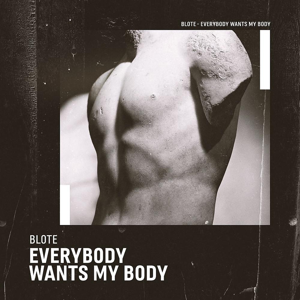 Постер альбома Everybody Wants My Body