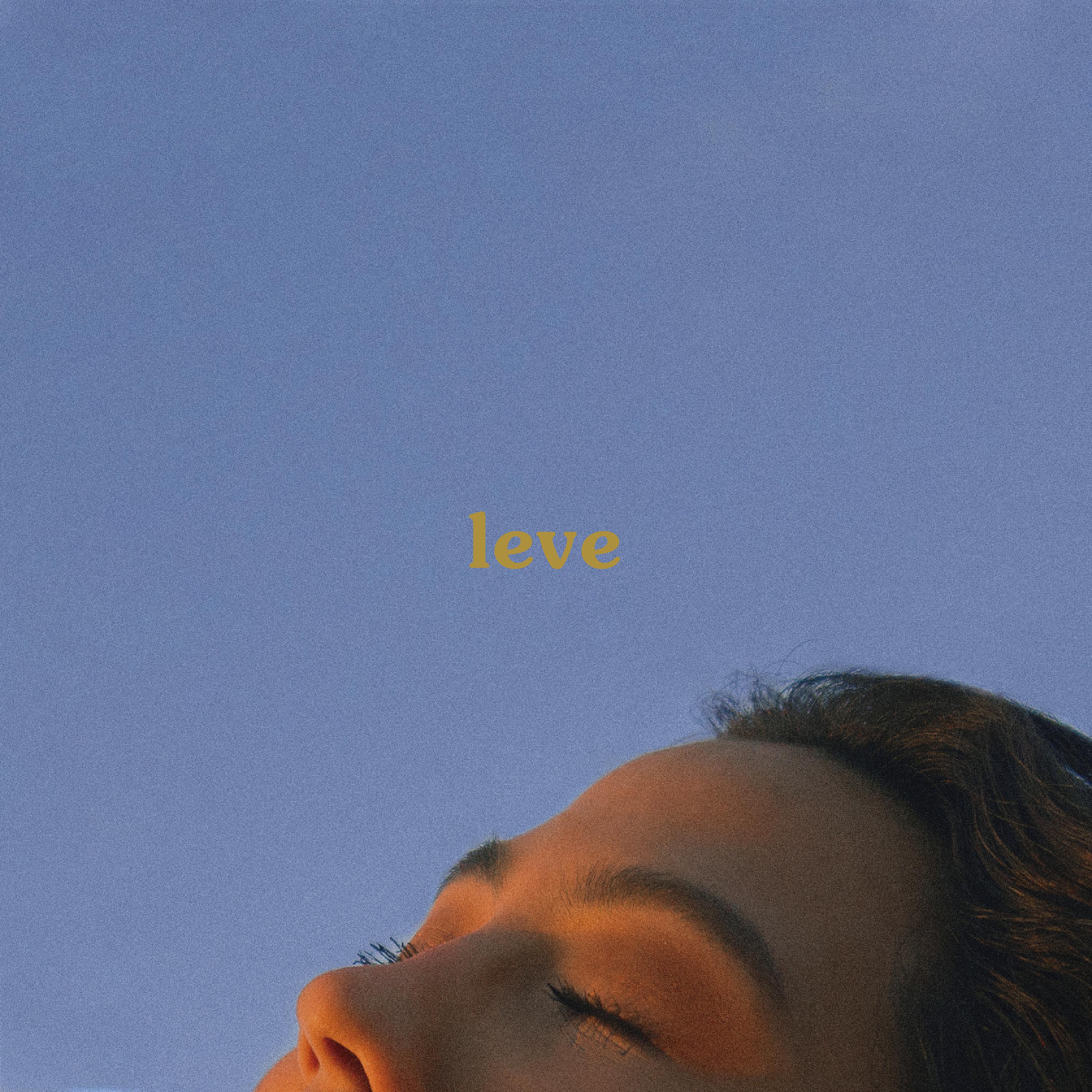 Постер альбома Leve EP