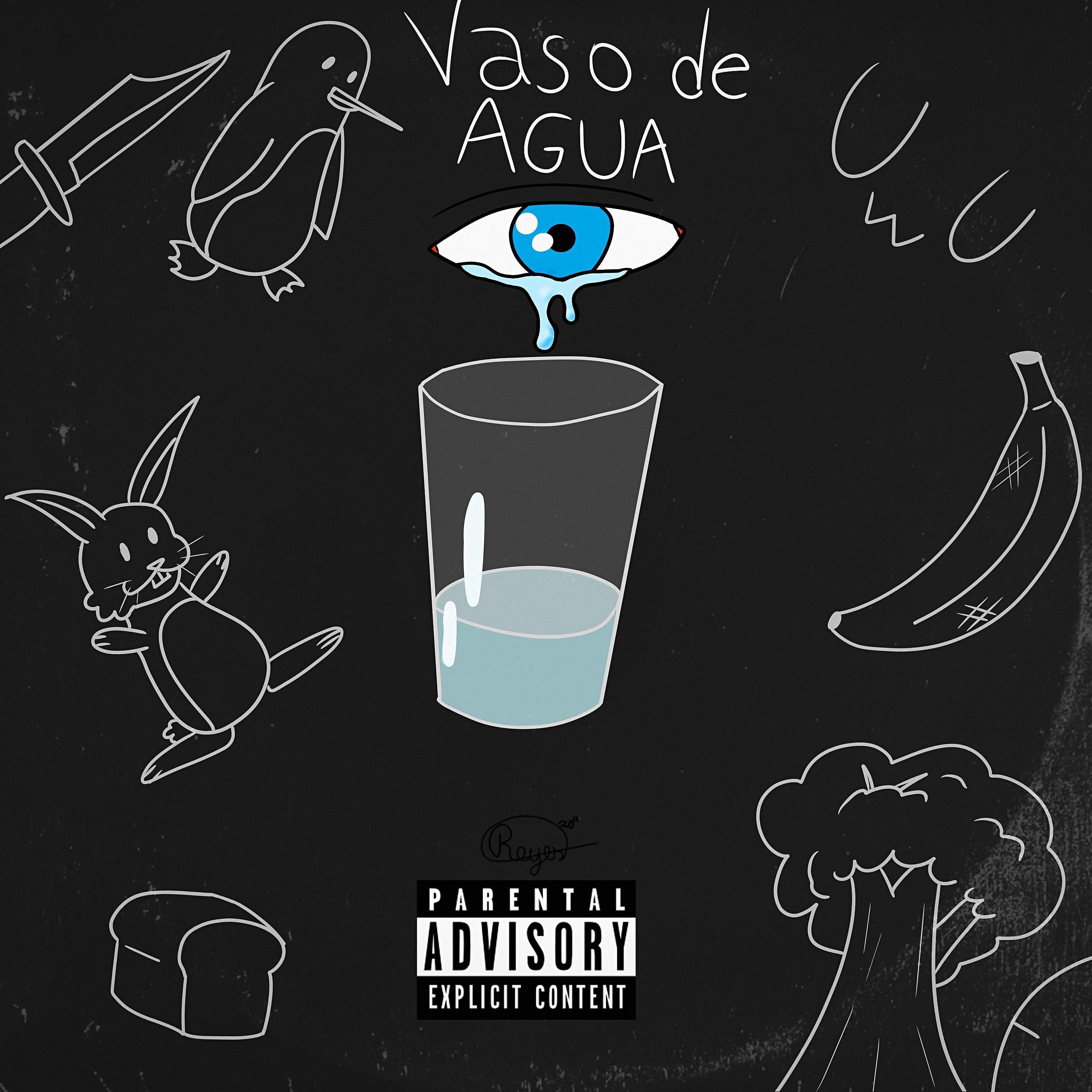 Постер альбома Vaso de Agua