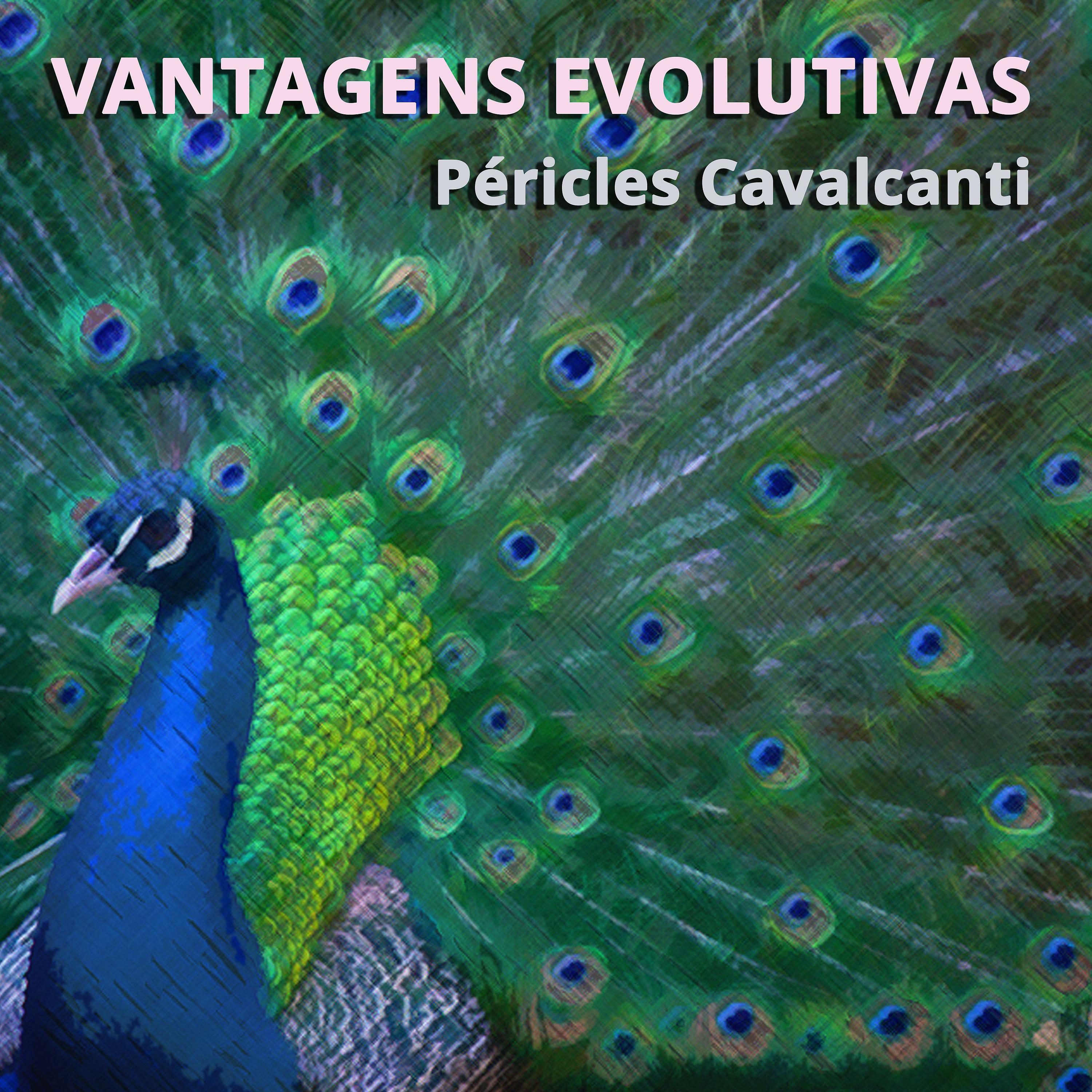 Постер альбома Vantagens Evolutivas - Single