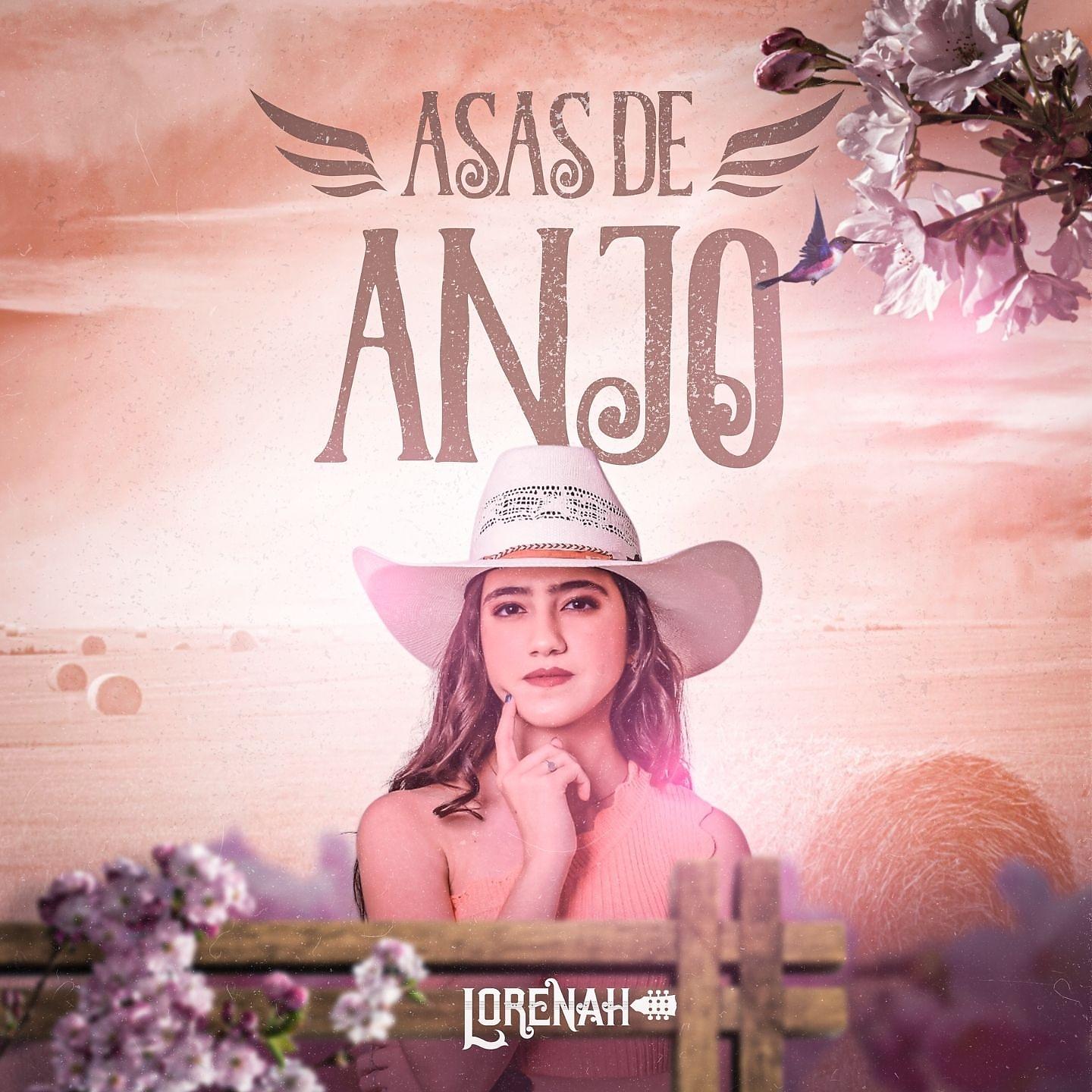 Постер альбома Asas de Anjo