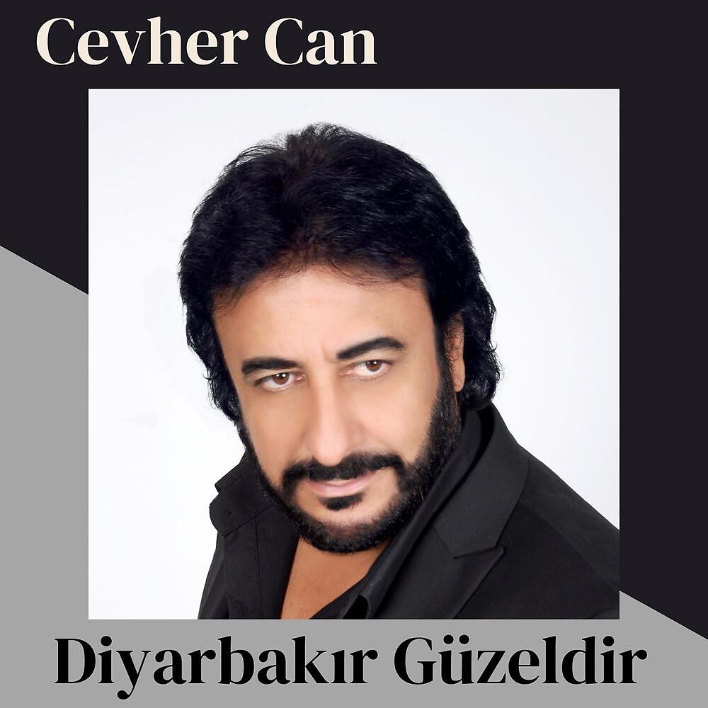 Постер альбома Diyarbakır Güzeldir