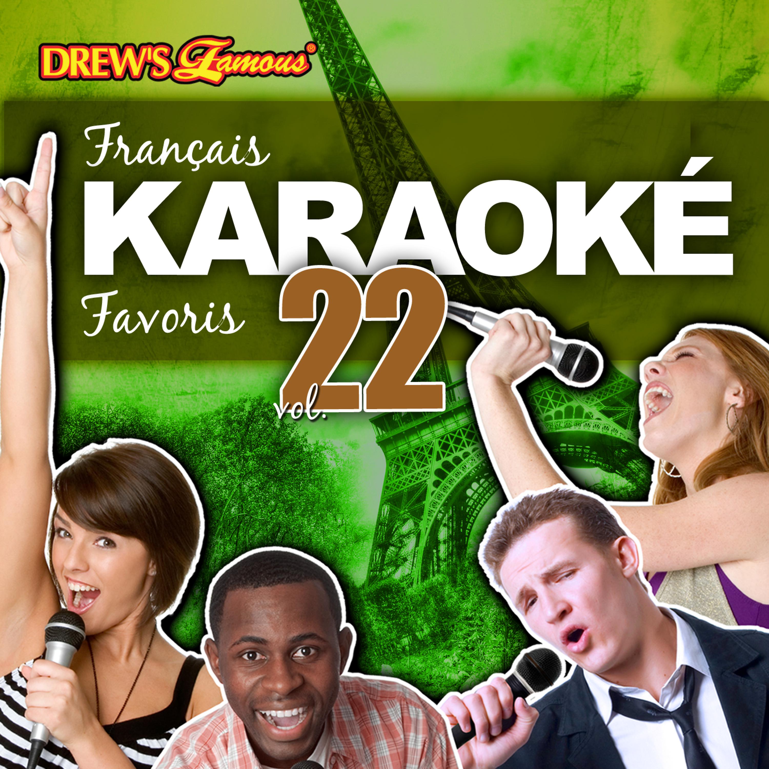 Постер альбома Français Karaoké Favoris, Vol. 22