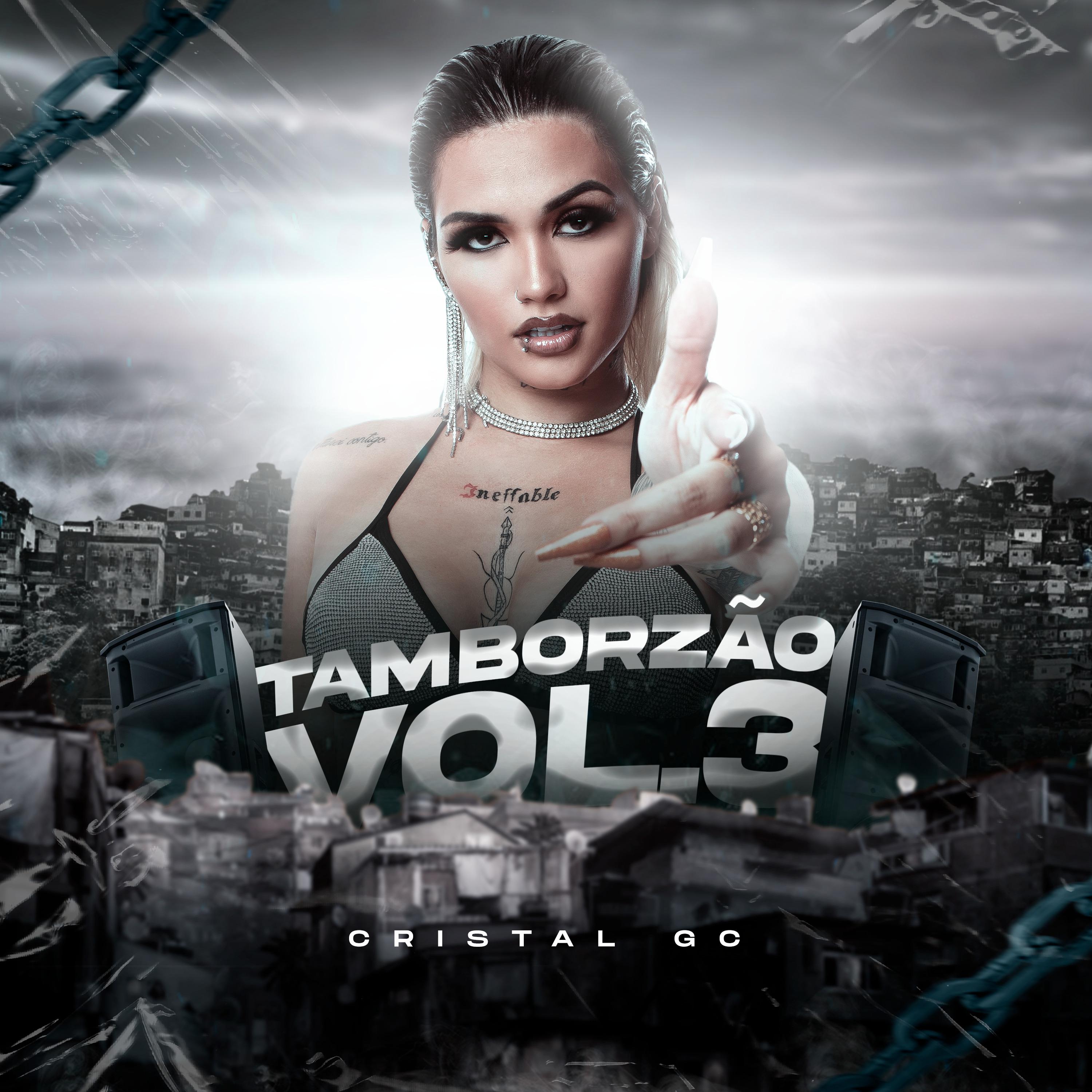 Постер альбома Tamborzão, Vol. 3