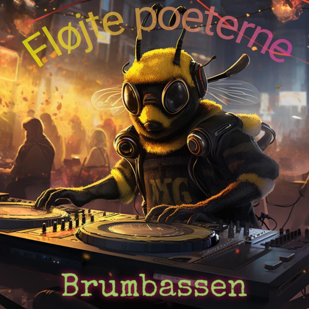 Постер альбома Fløjte poeterne