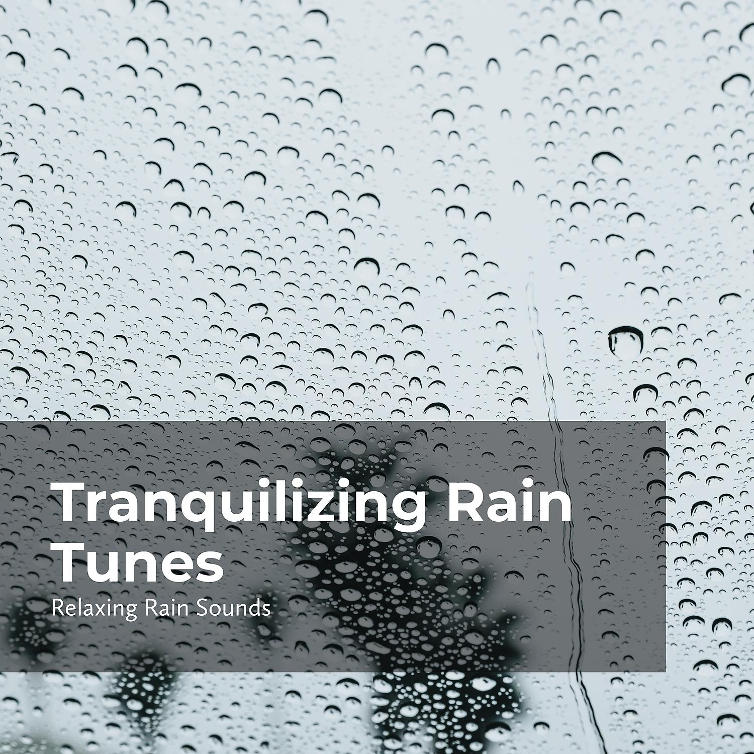 Постер альбома Tranquilizing Rain Tunes
