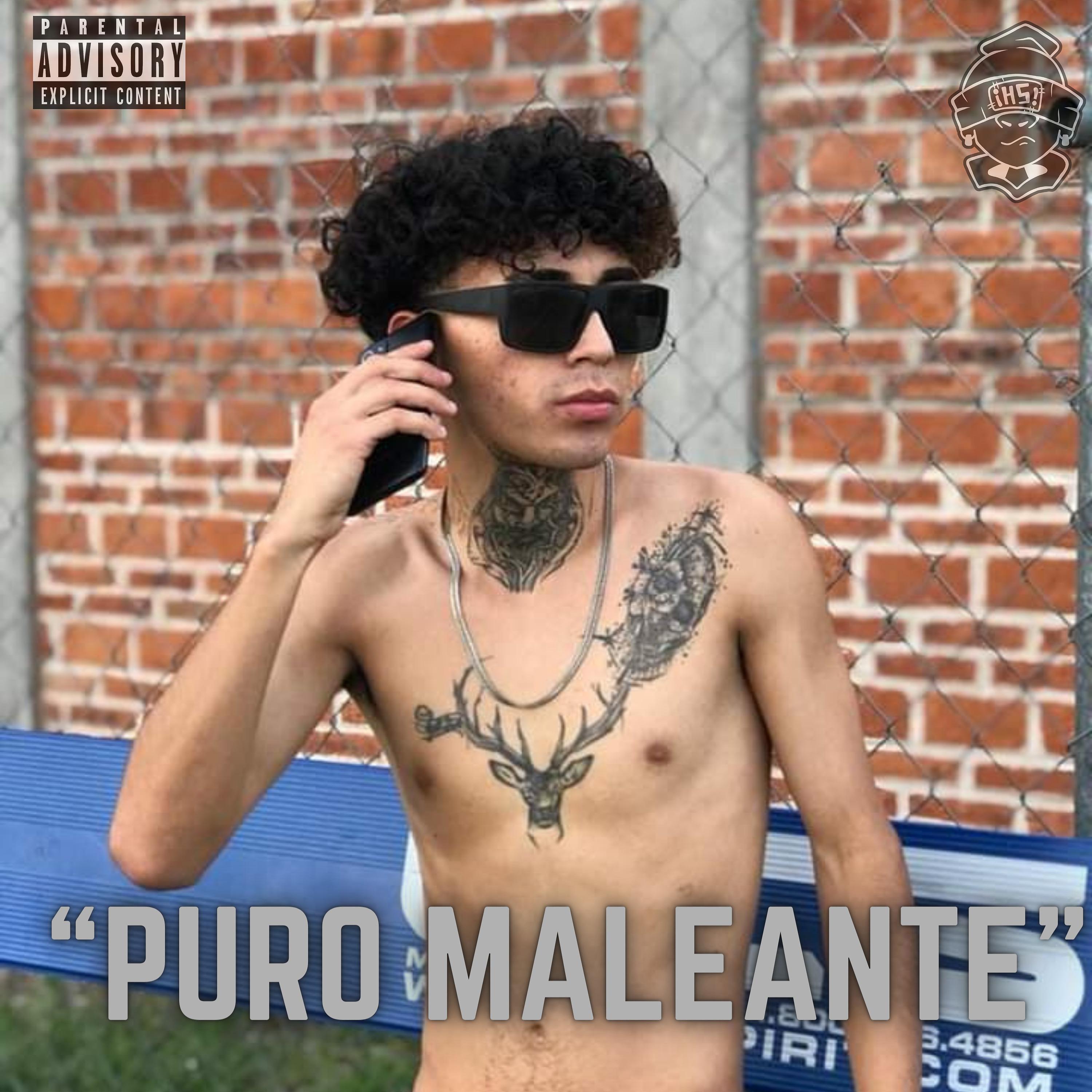Постер альбома Puro Maleante