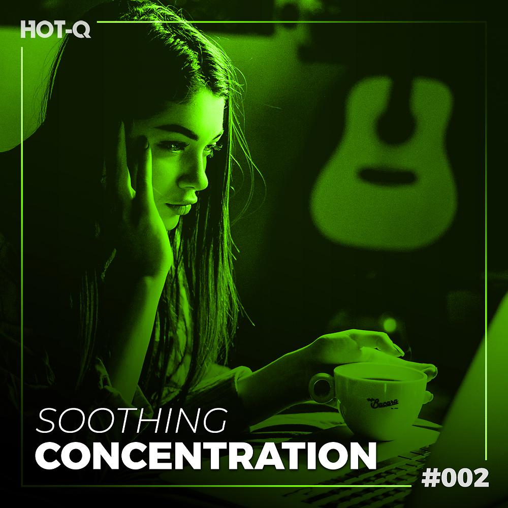 Постер альбома Soothing Concentration 002