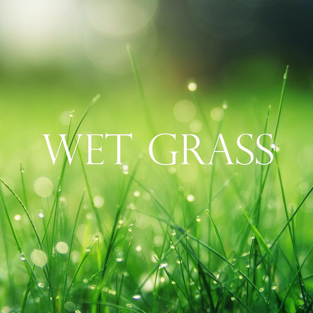 Постер альбома Wet Grass