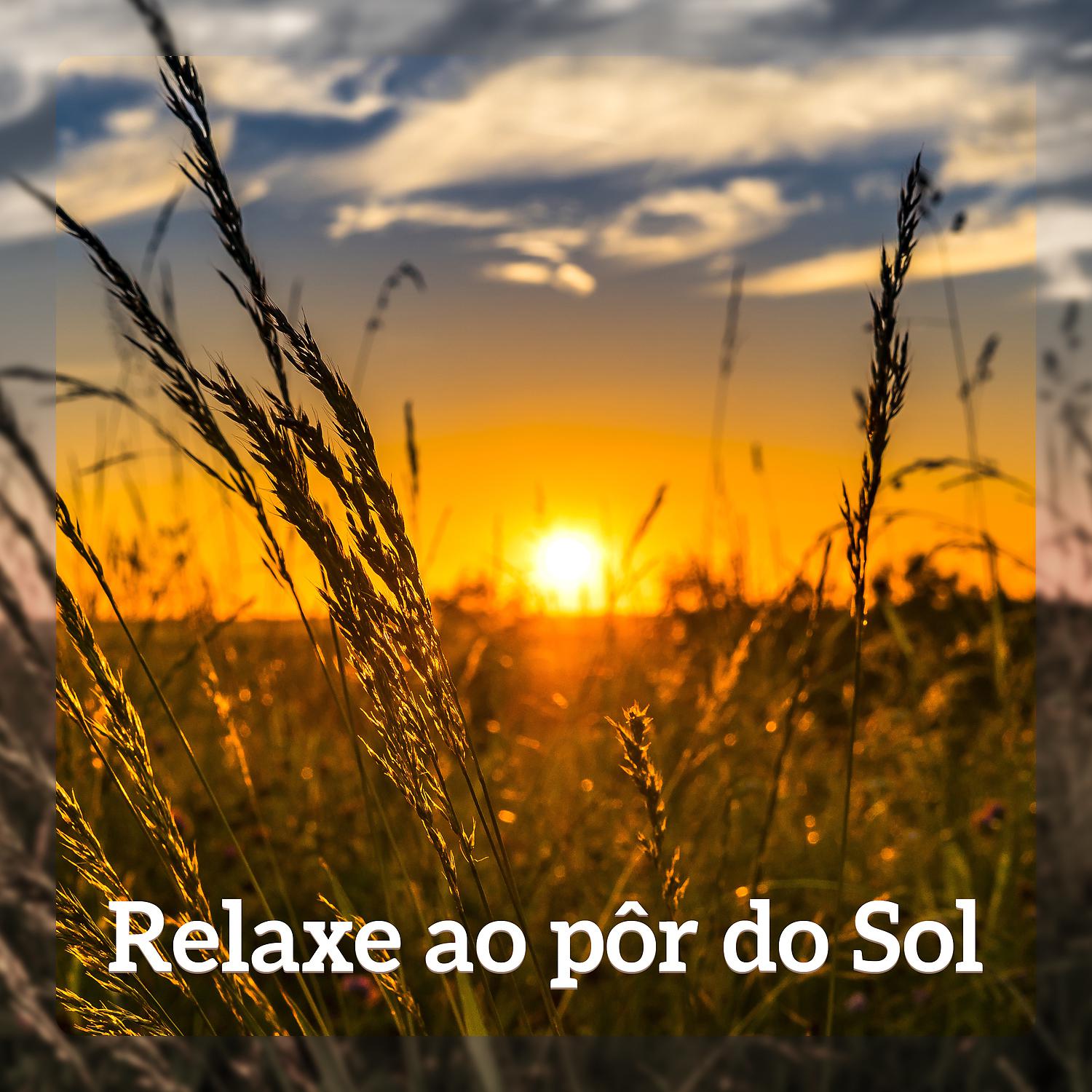 Постер альбома Relaxe ao pôr do Sol – Paz Interior, Espiritualidade, Exercícios Zen Mindfulness, Mantra Budista Om