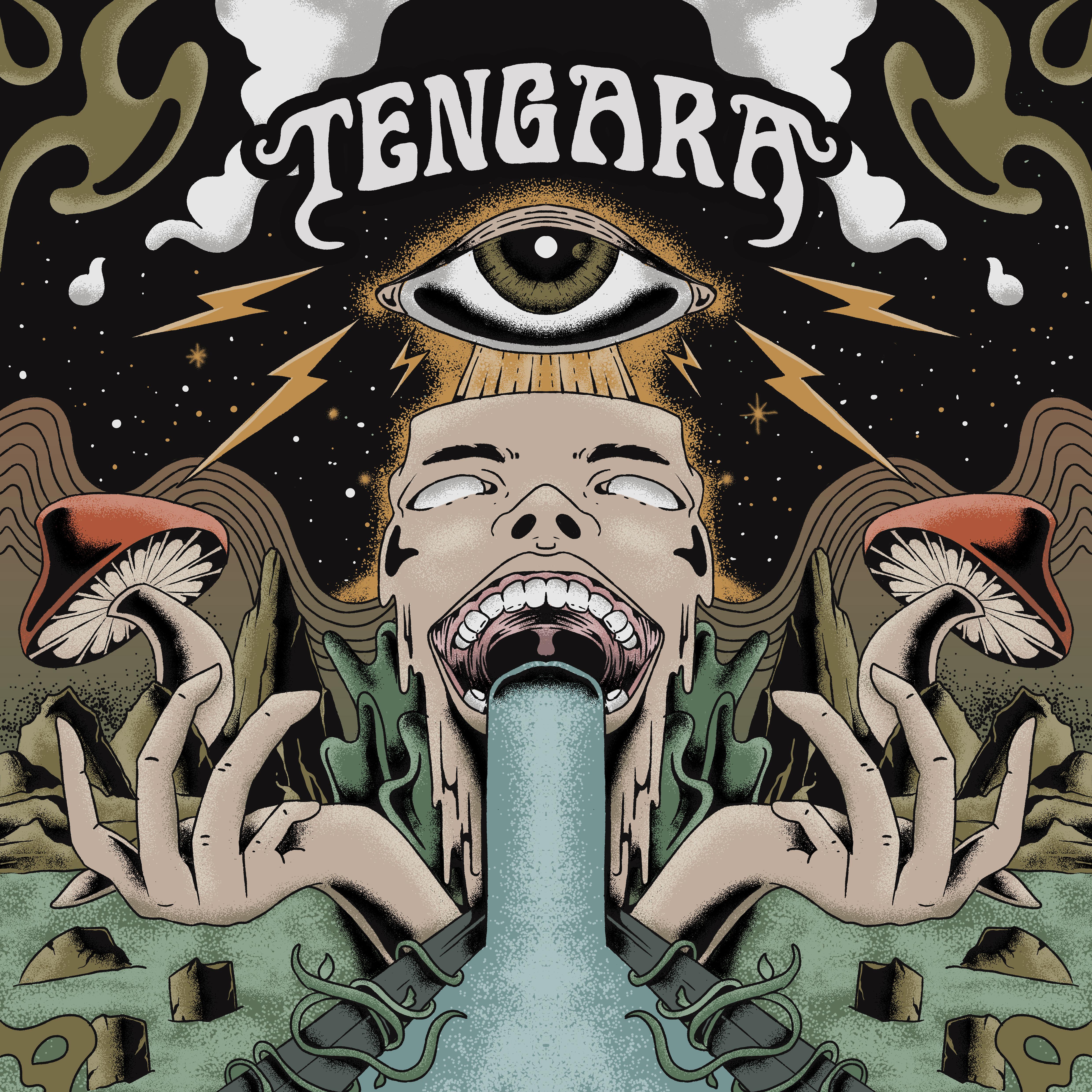 Постер альбома Tengara