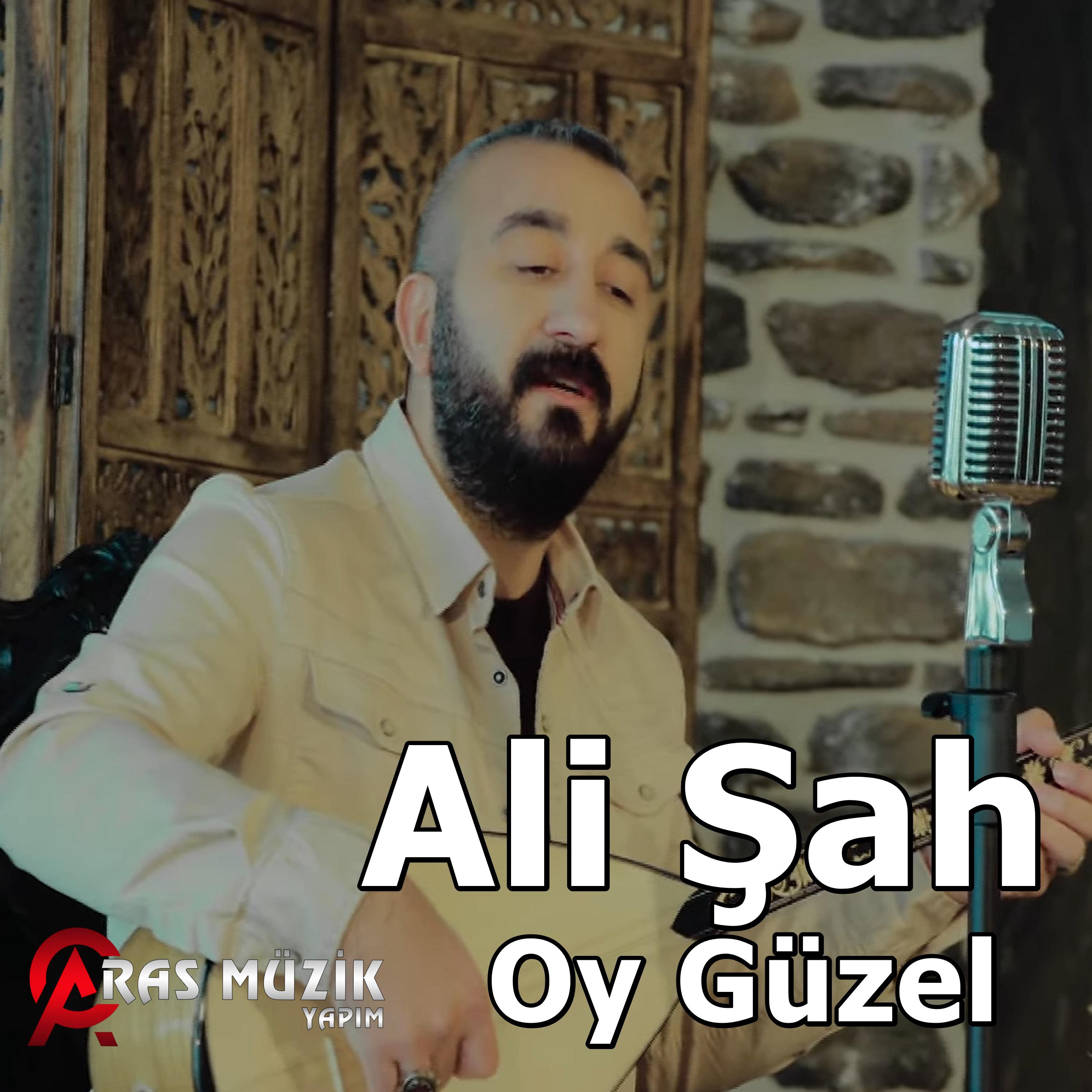 Постер альбома Oy Güzel