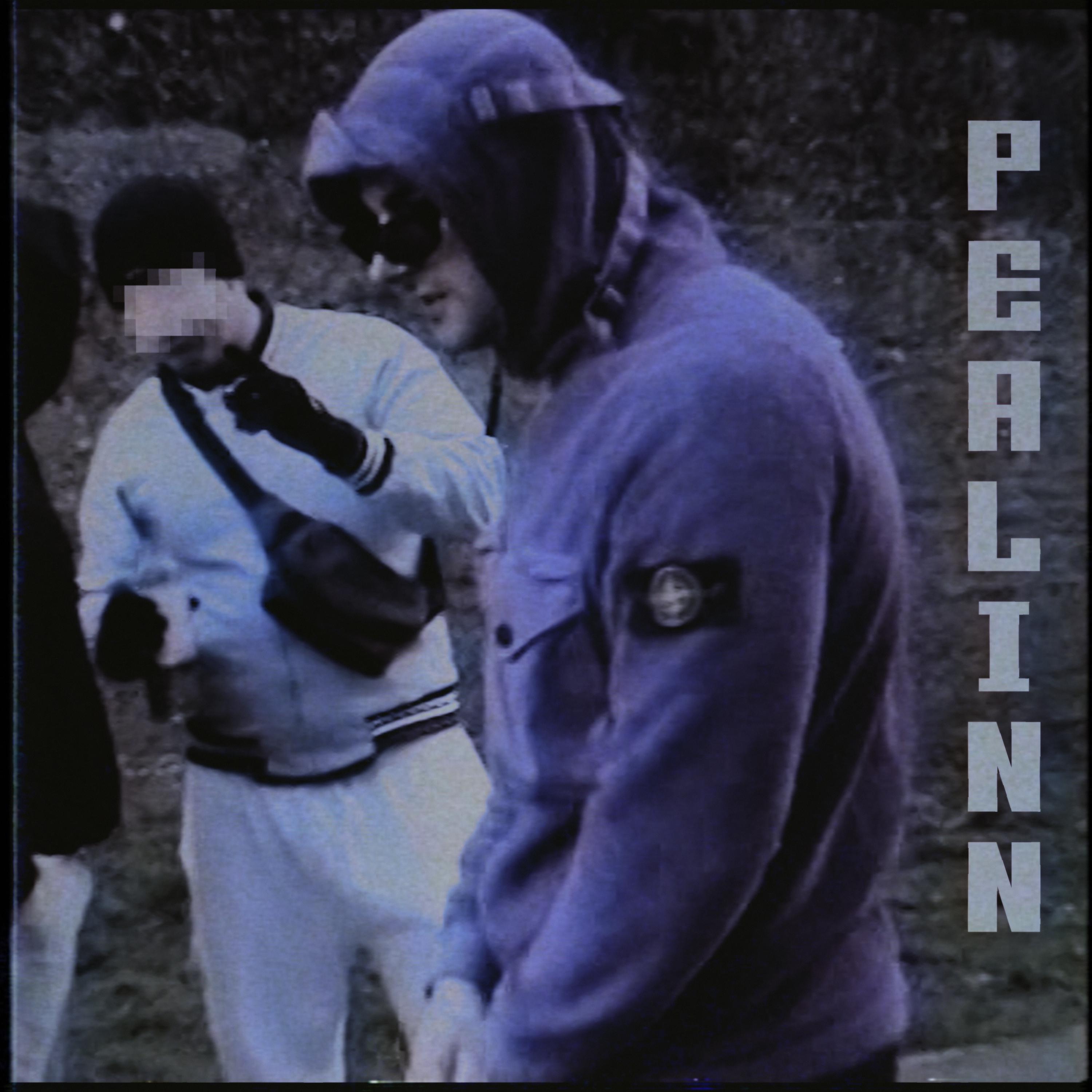Постер альбома PEALINN
