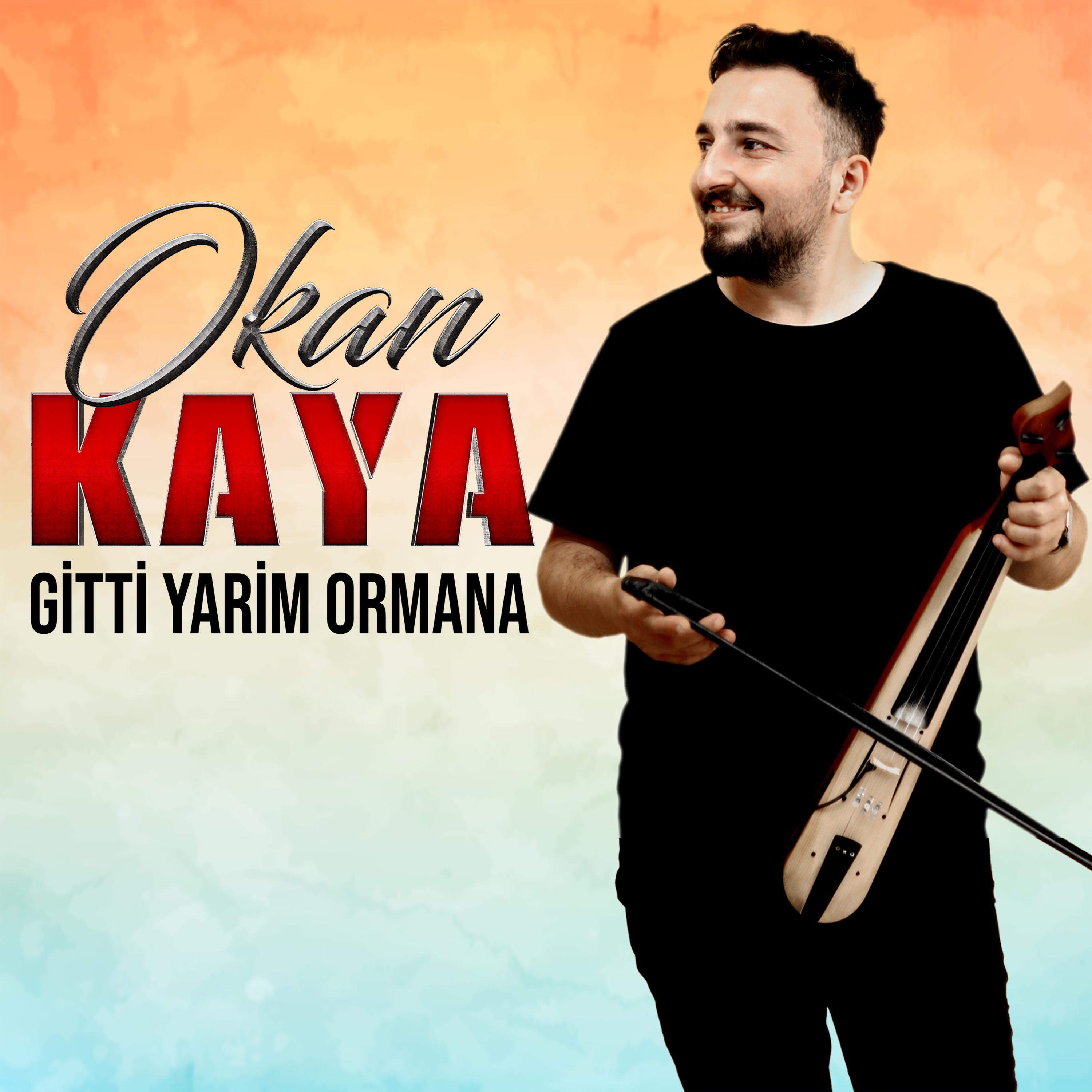 Постер альбома Gitti Yarim Ormana