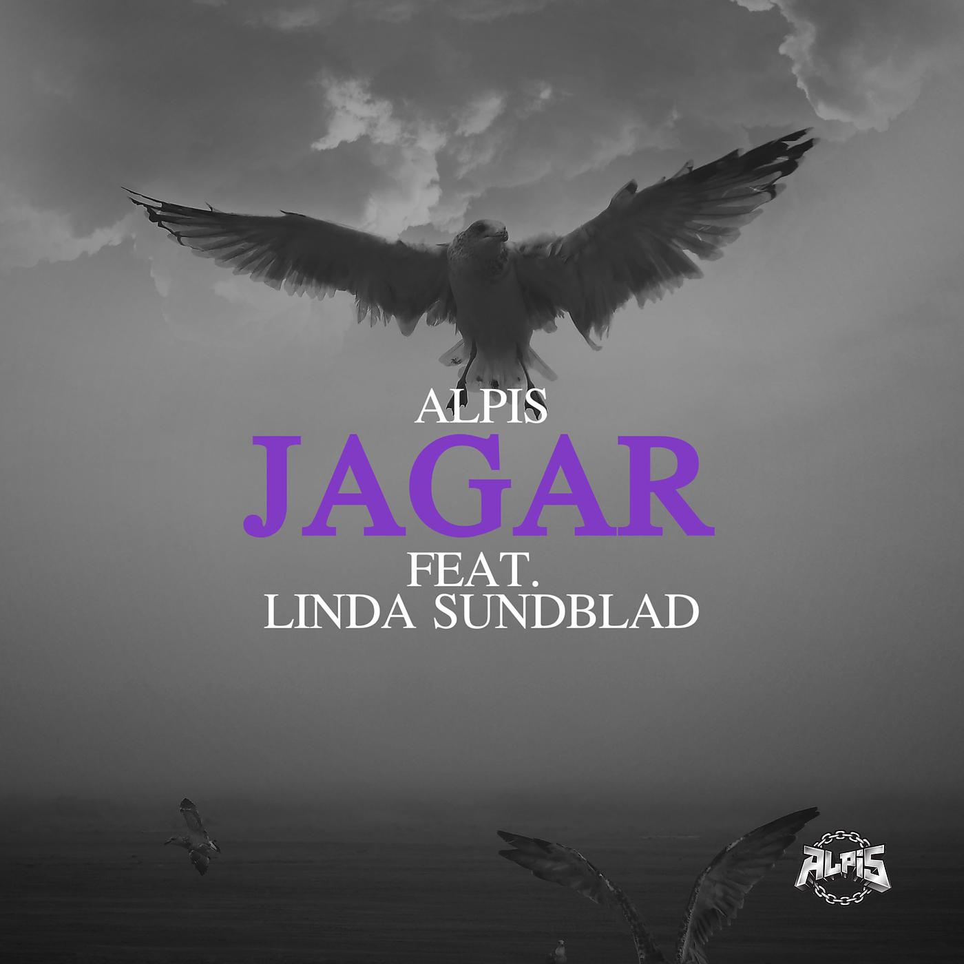 Постер альбома Jagar
