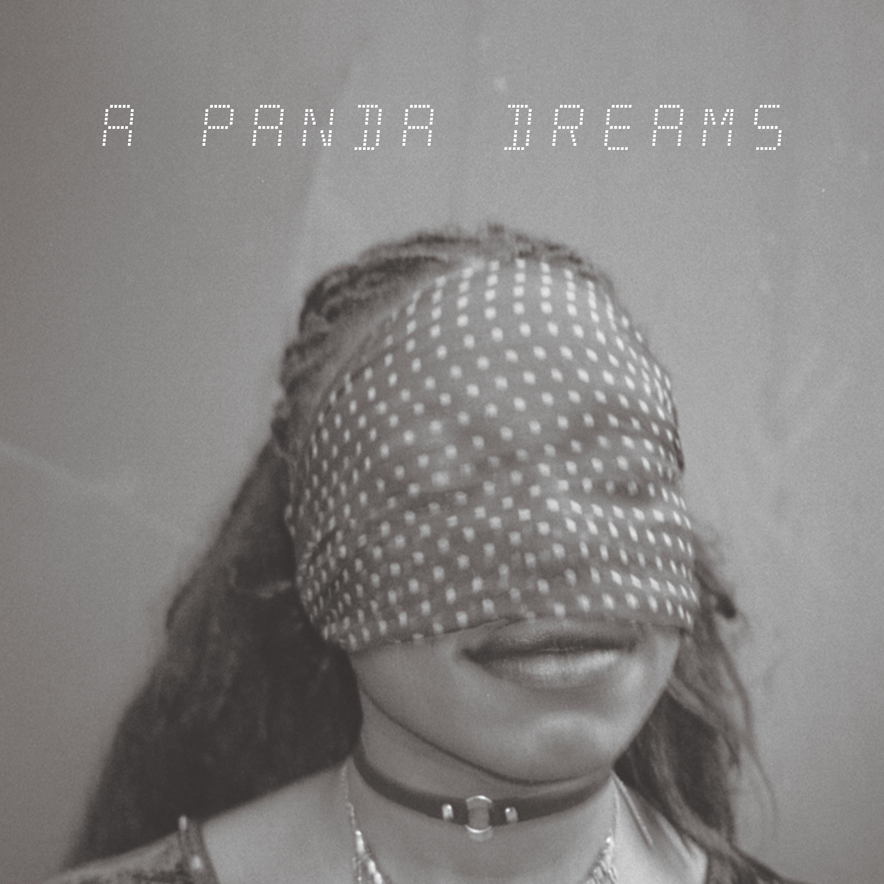 Постер альбома A Panda Dreams