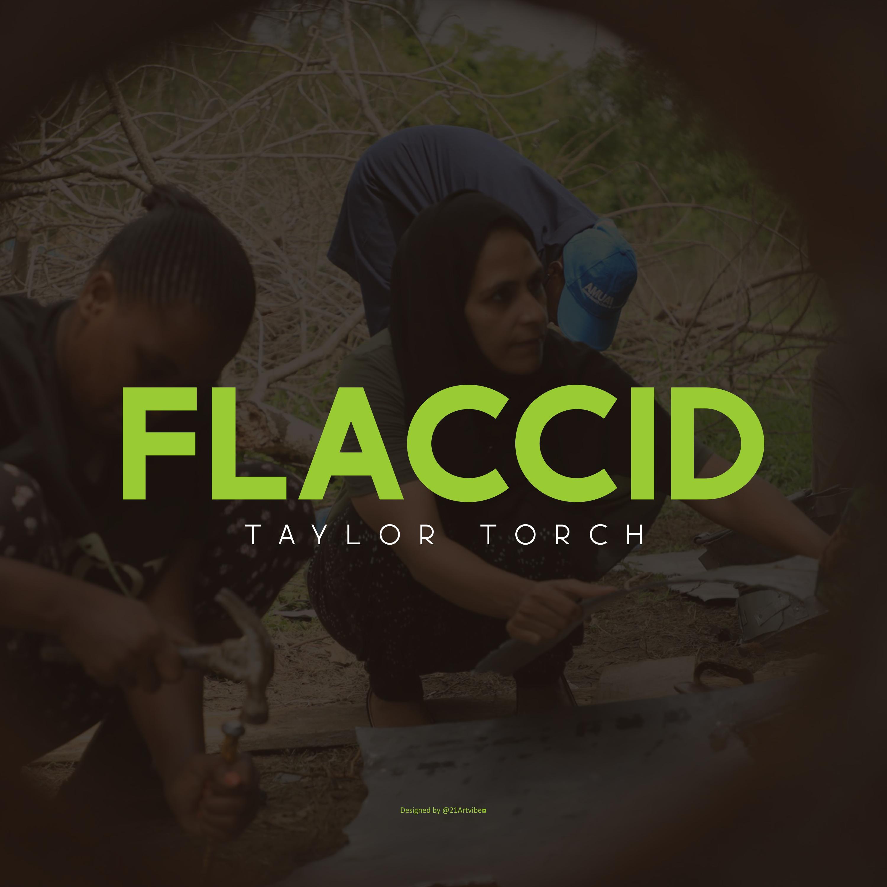 Постер альбома Flaccid