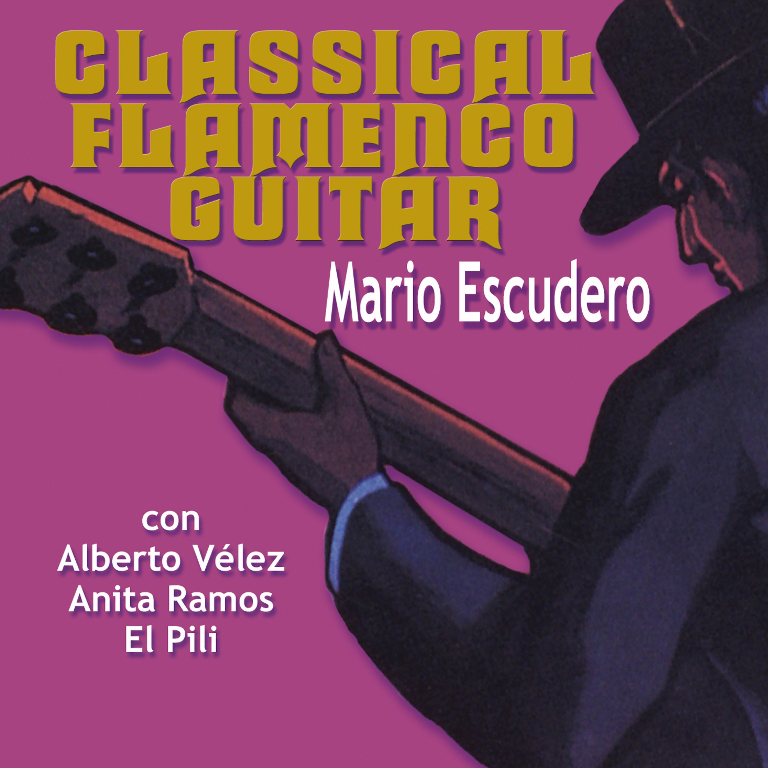 Постер альбома Classical Flamenco Guitar