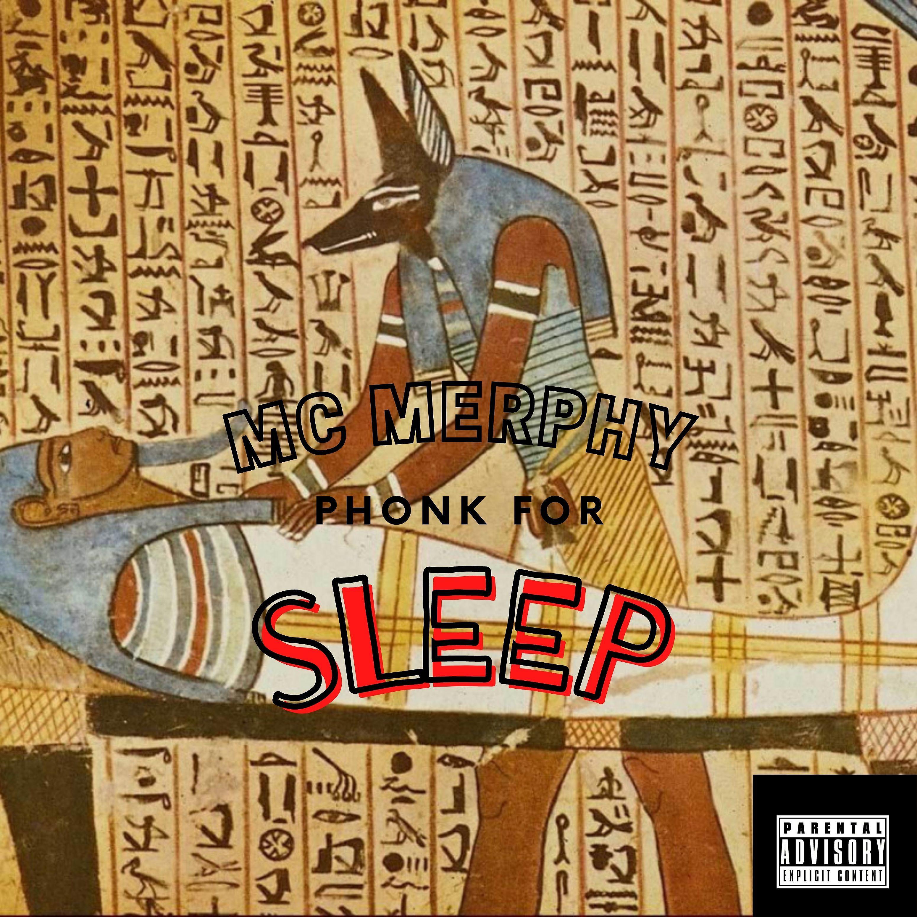 Постер альбома Phonk for Sleep
