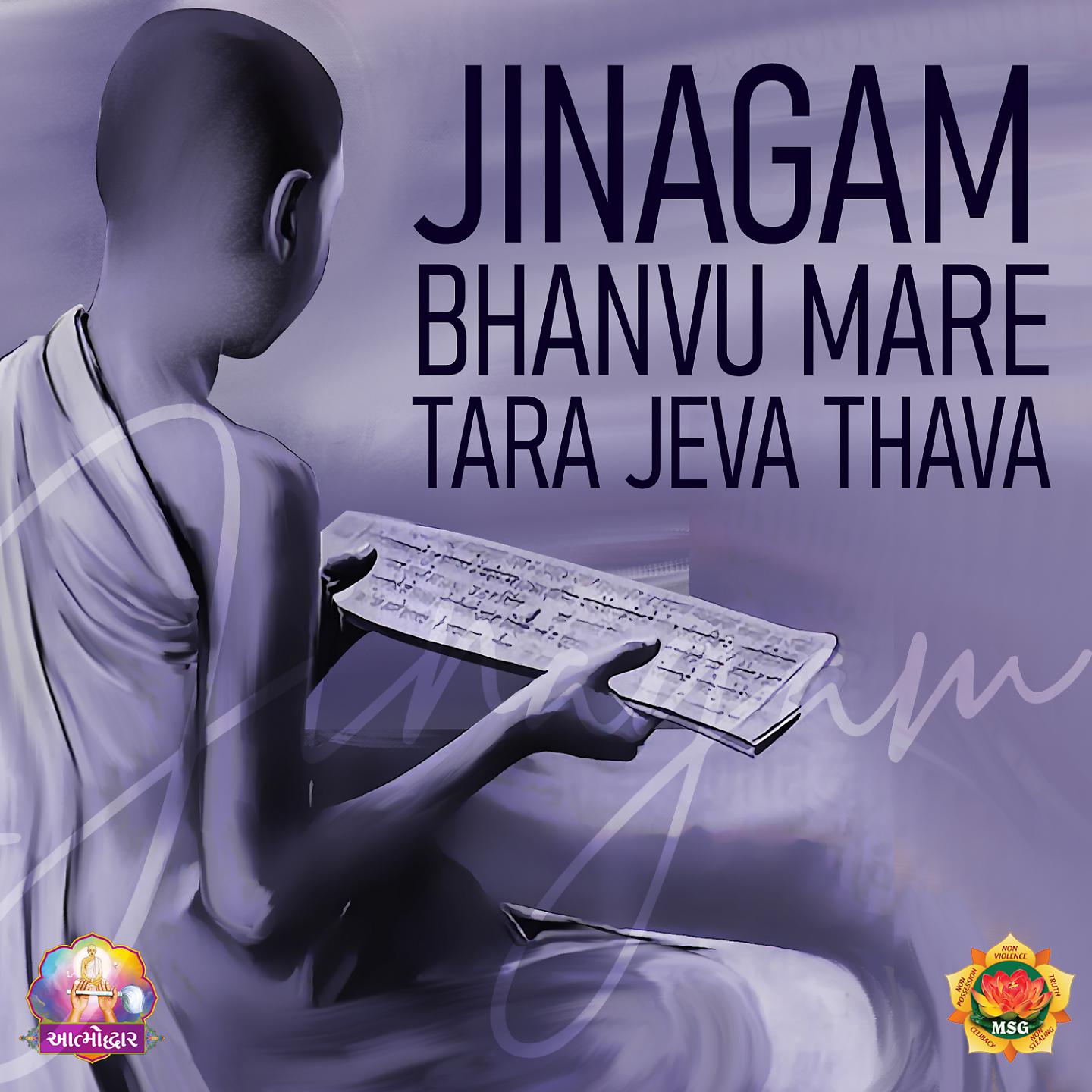 Постер альбома Jinagam Bhanvu Mare Tara Jeva Thava