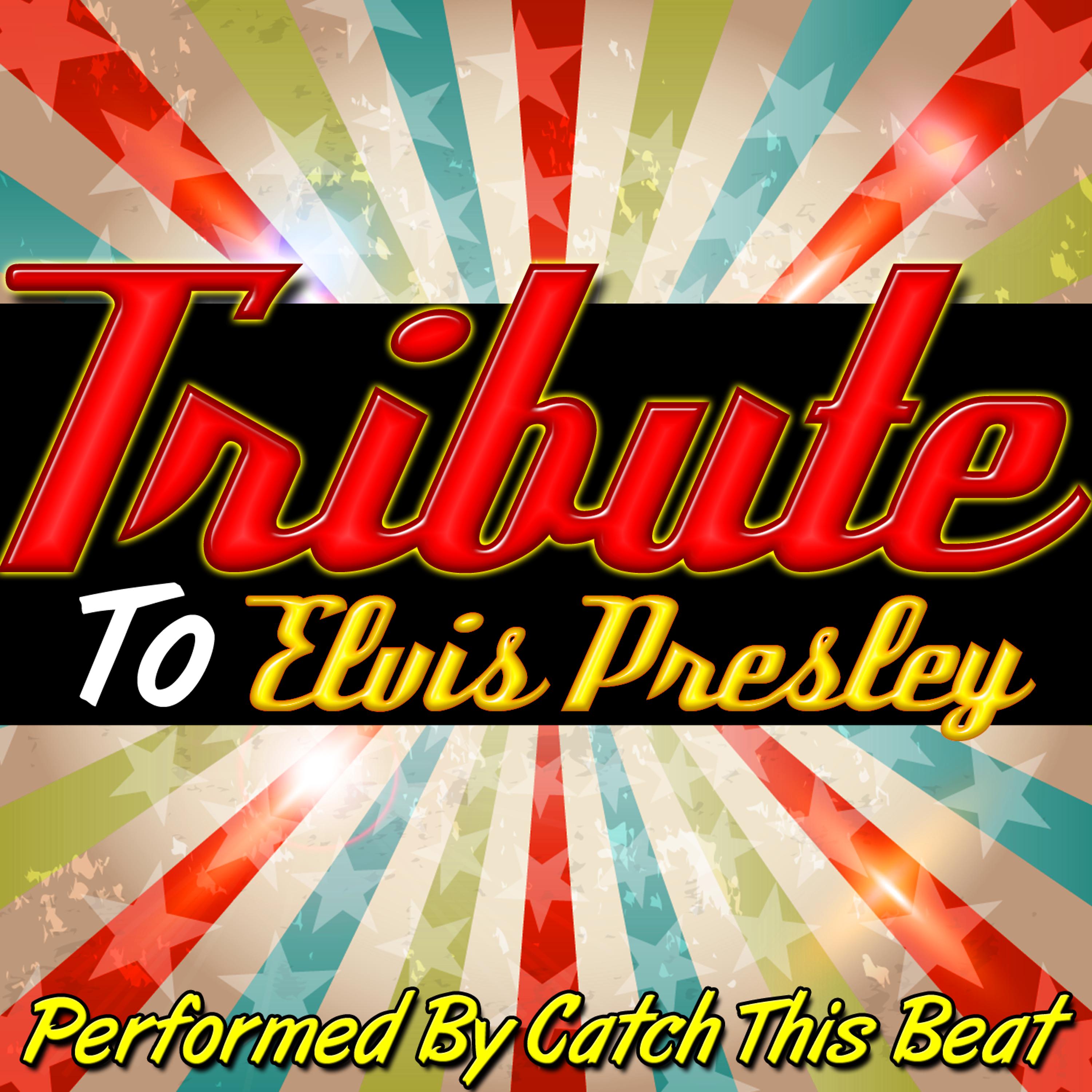 Постер альбома Tribute to Elvis Presley