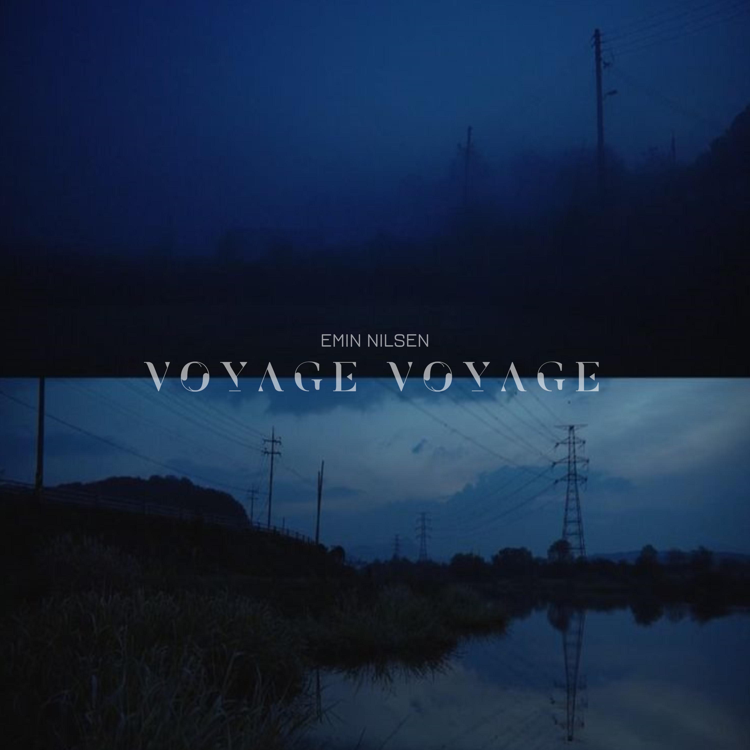 Постер альбома Voyage Voyage