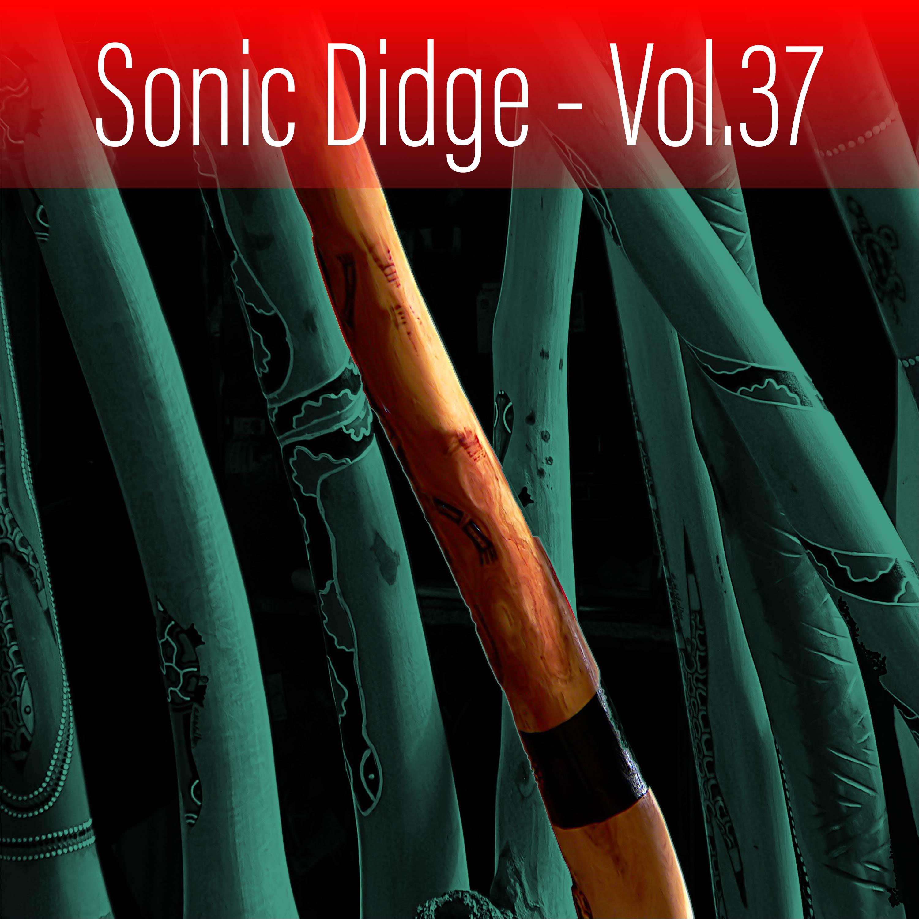 Постер альбома Sonic Didge, Vol. 37