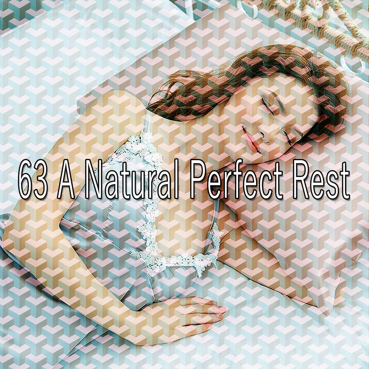 Постер альбома 63 Естественный идеальный отдых