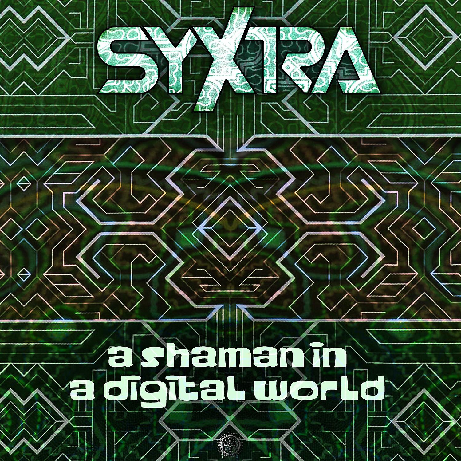 Постер альбома A Shaman in a Digital World