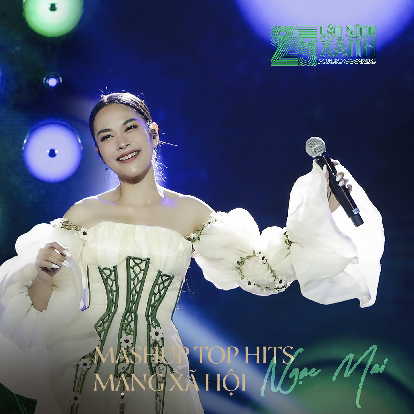 Постер альбома Mashup Top Hits Mạng Xã Hội 2022