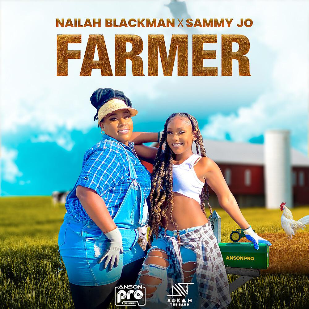 Постер альбома Farmer