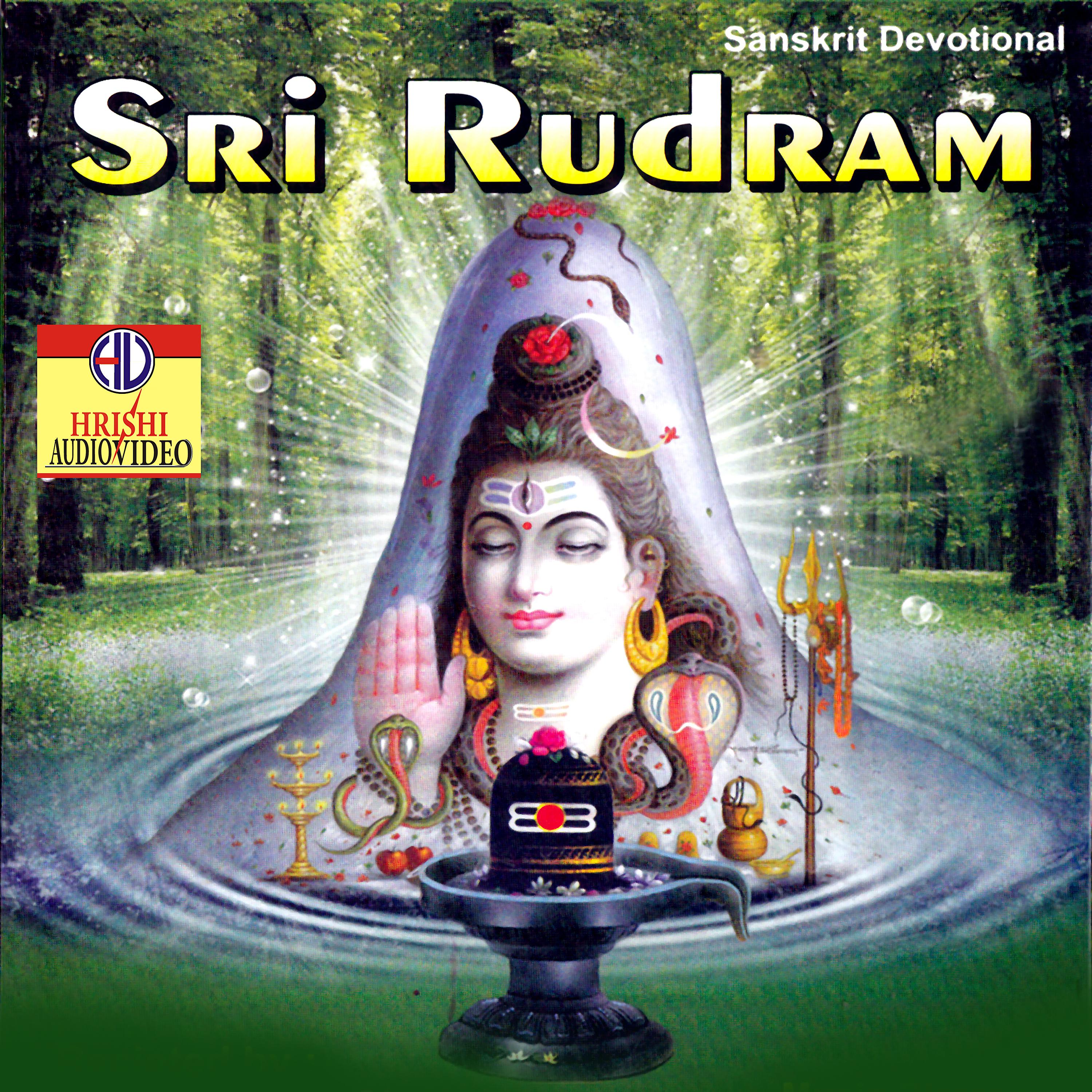 Постер альбома Sri Rudram
