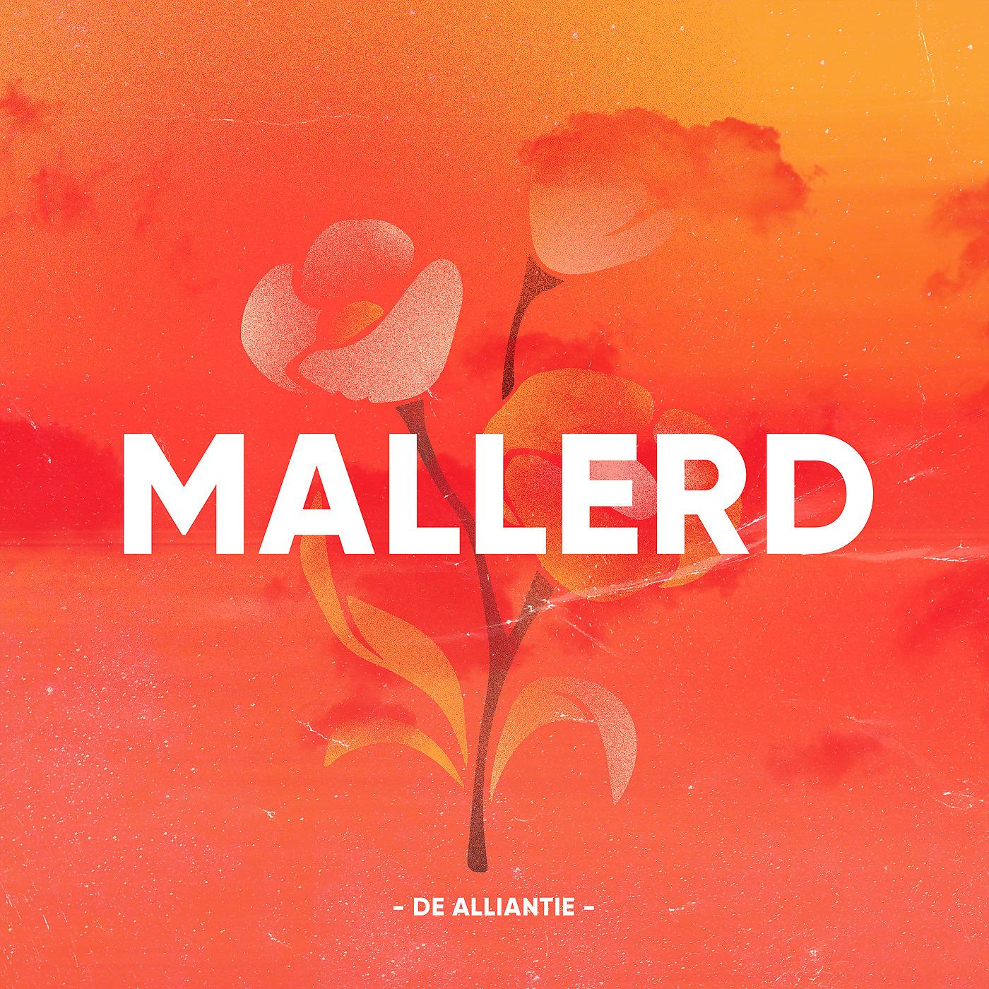 Постер альбома Mallerd
