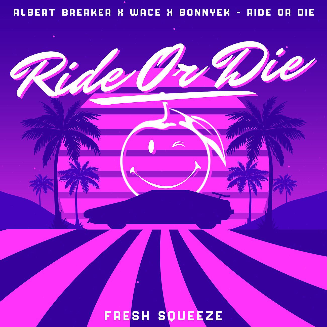 Постер альбома Ride Or Die