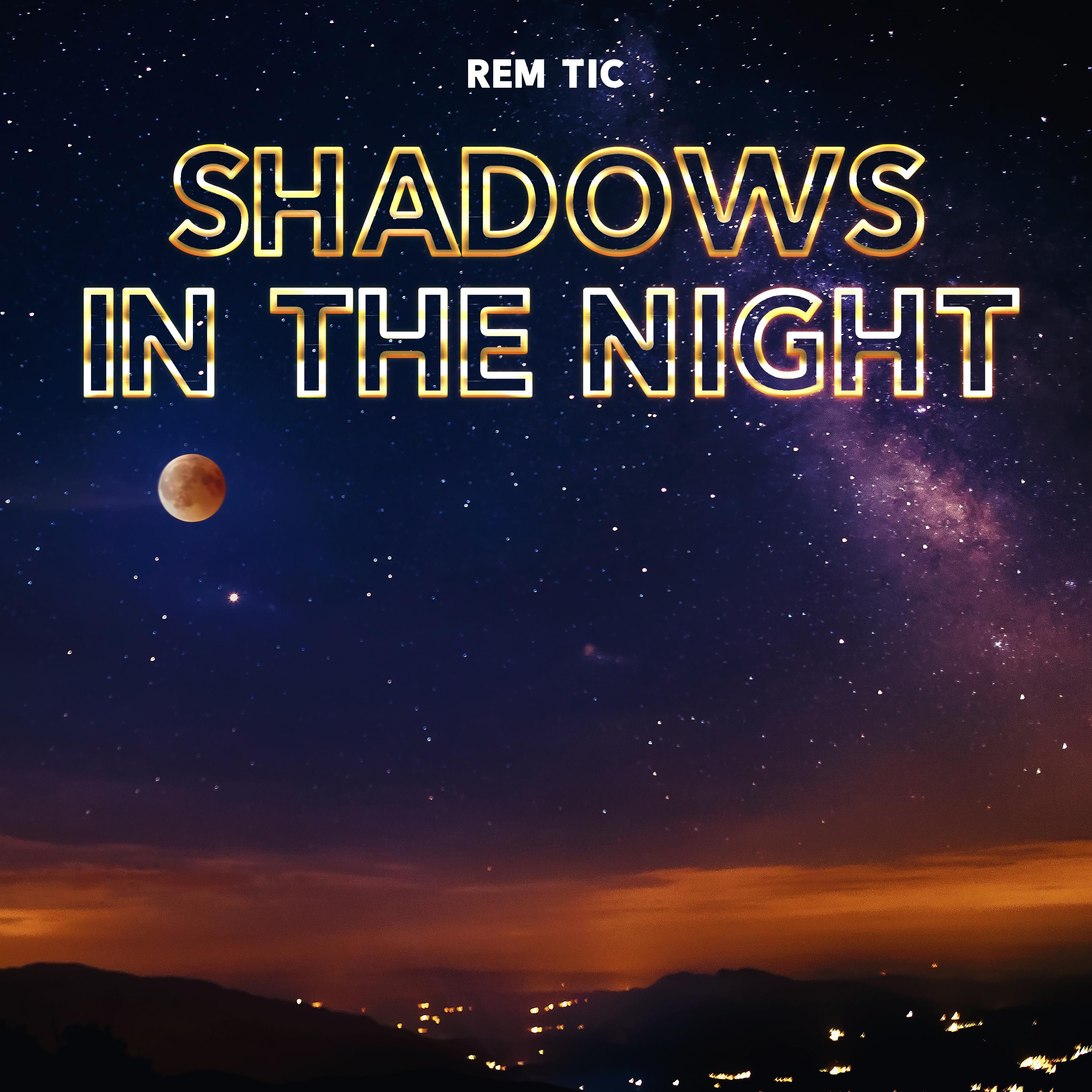 Постер альбома Shadows In The Night